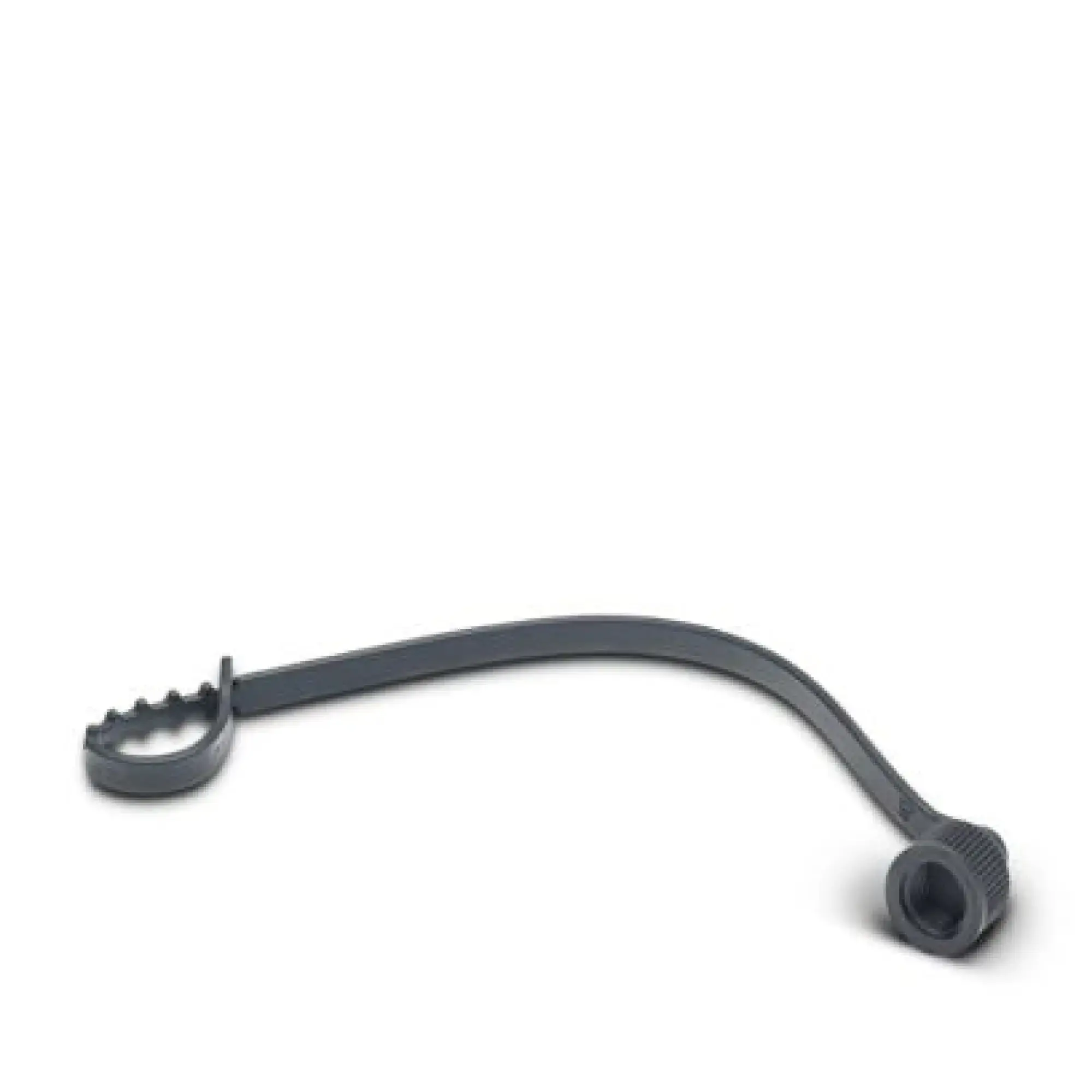 Phoenix Contact 1430857 Sealing cap PROT-M 8 FS-PA-CHAIN (img_001)