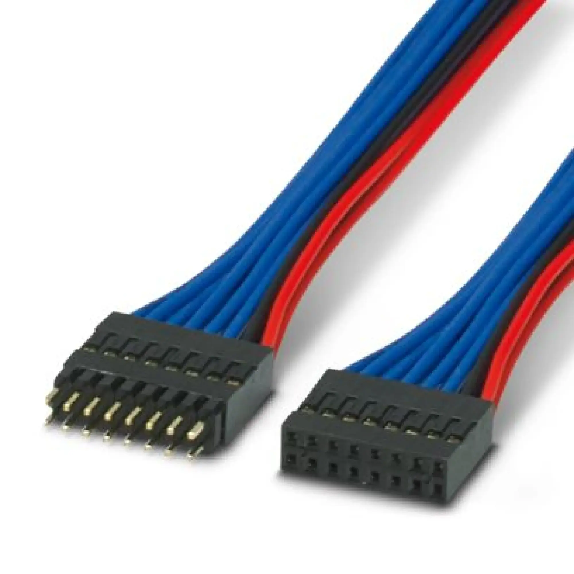 Phoenix Contact 1281277 Cable set BSL2-2,54/16-ST (img_001) Phoenix Contact 1281277 Cable set BSL2-2,54/16-ST (img_001)