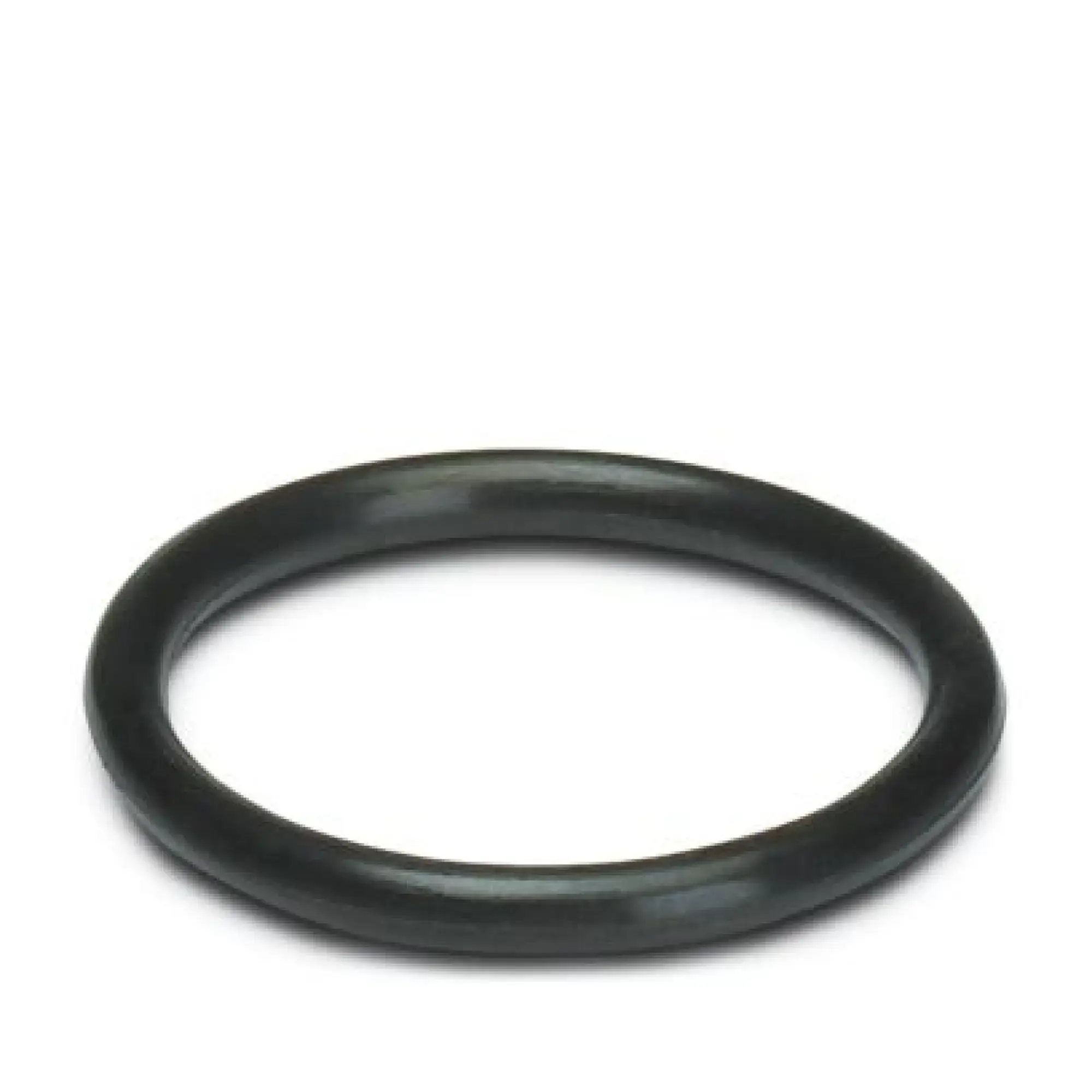Phoenix Contact 3241187 Sealing ring WP-OR M10 (img_001)