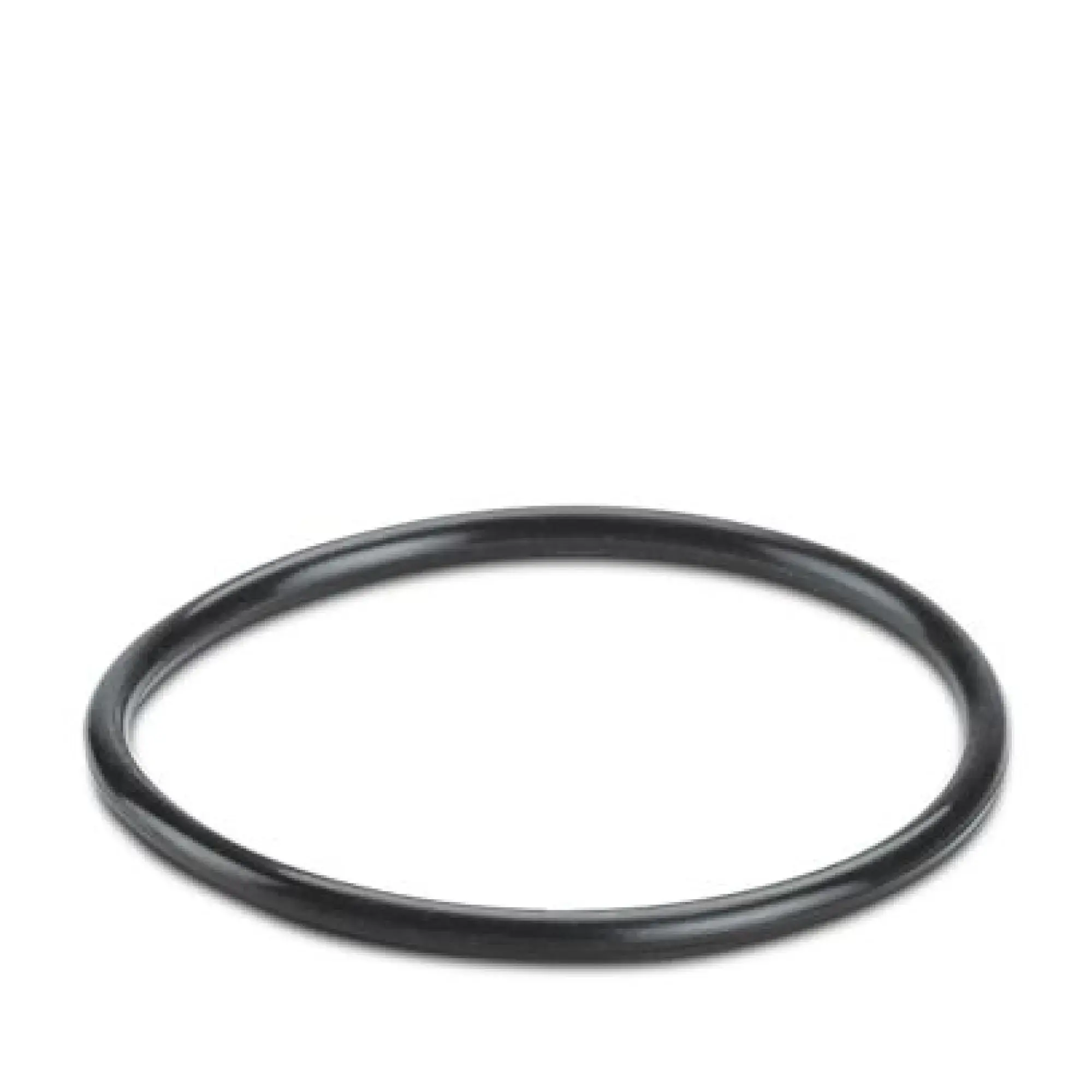 Phoenix Contact 3241200 Sealing ring WP-OR PG36 (img_001)
