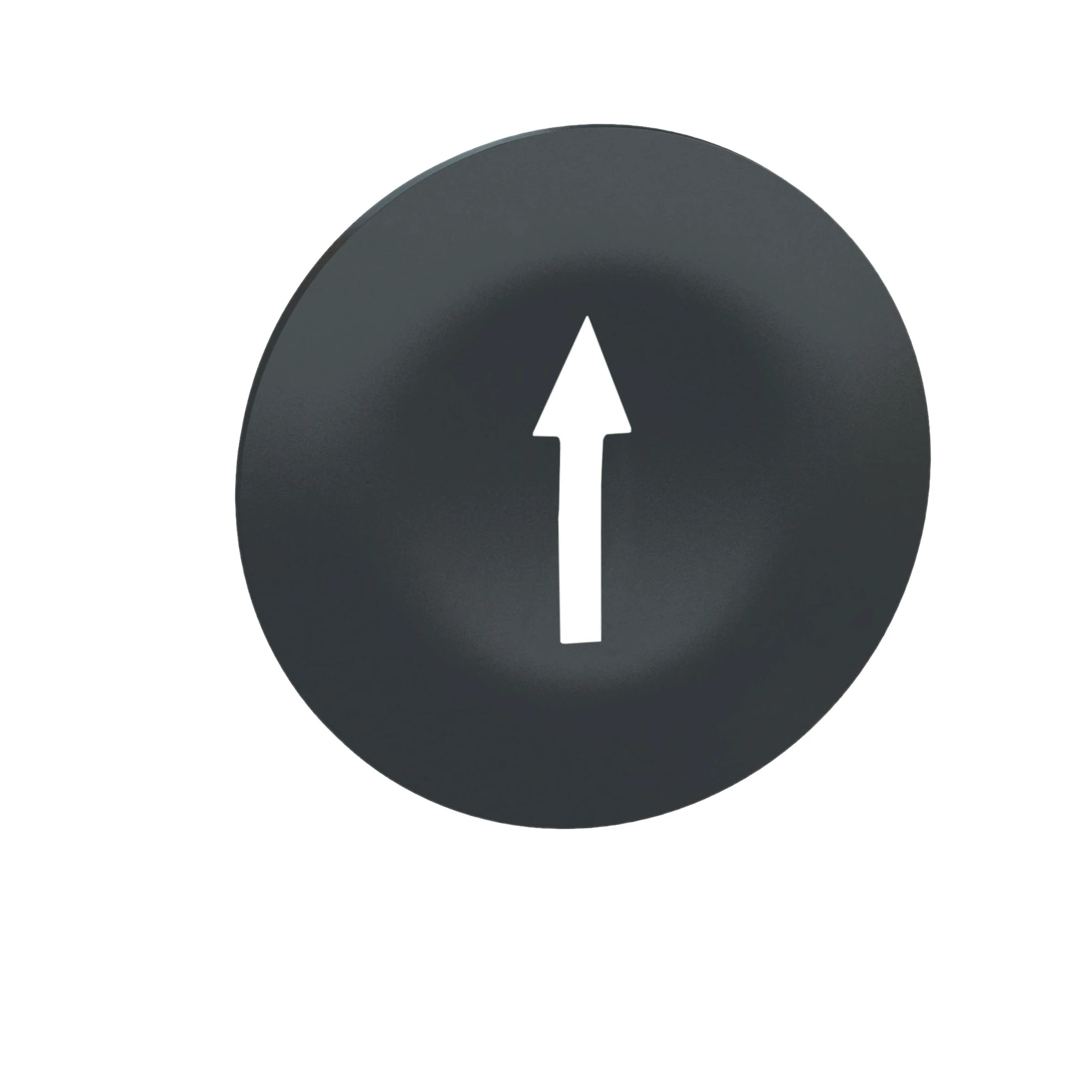 Schneider Electric ZBA7235 Protective cap black with arrow labeling for rectangular double push button Ø22 (img_001)