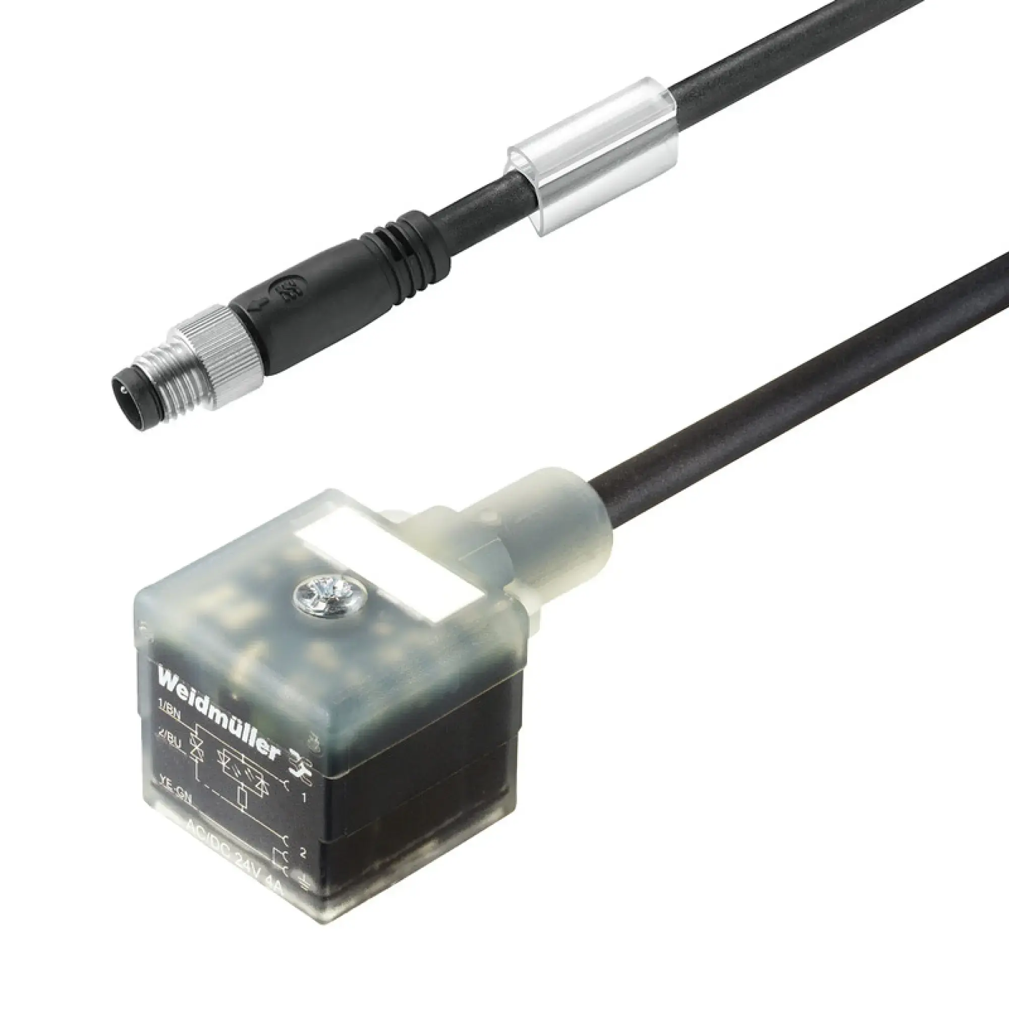 Weidmüller 1099760030 Valve cable (assembled), Straight plug - valve plug, Design A (18 mm), M8 = none, Cable length: 0.3 m, PUR, black (img_004)
