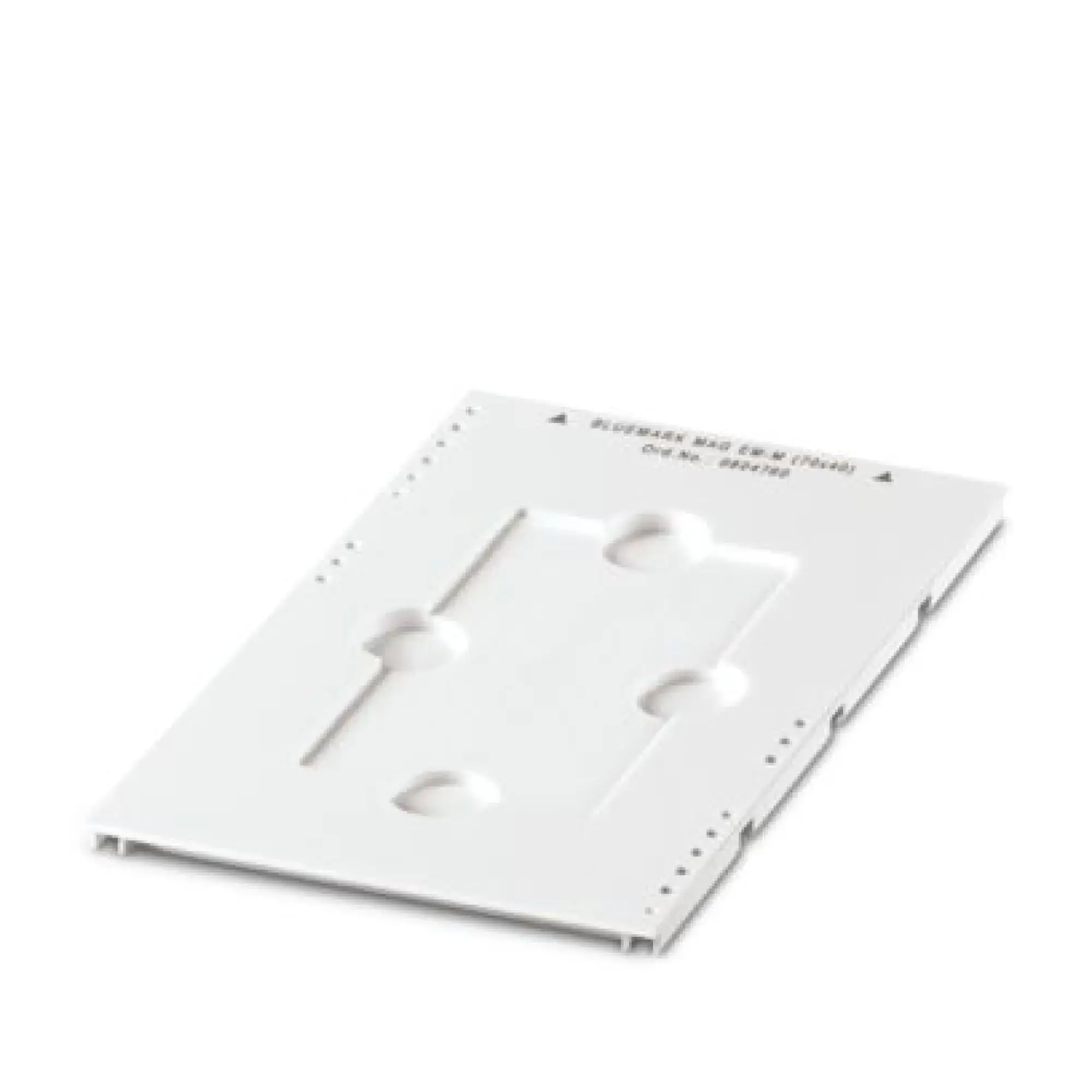 Phoenix Contact 0804760 Magazine BLUEMARK MAG EM-M (70X40) (img_001)