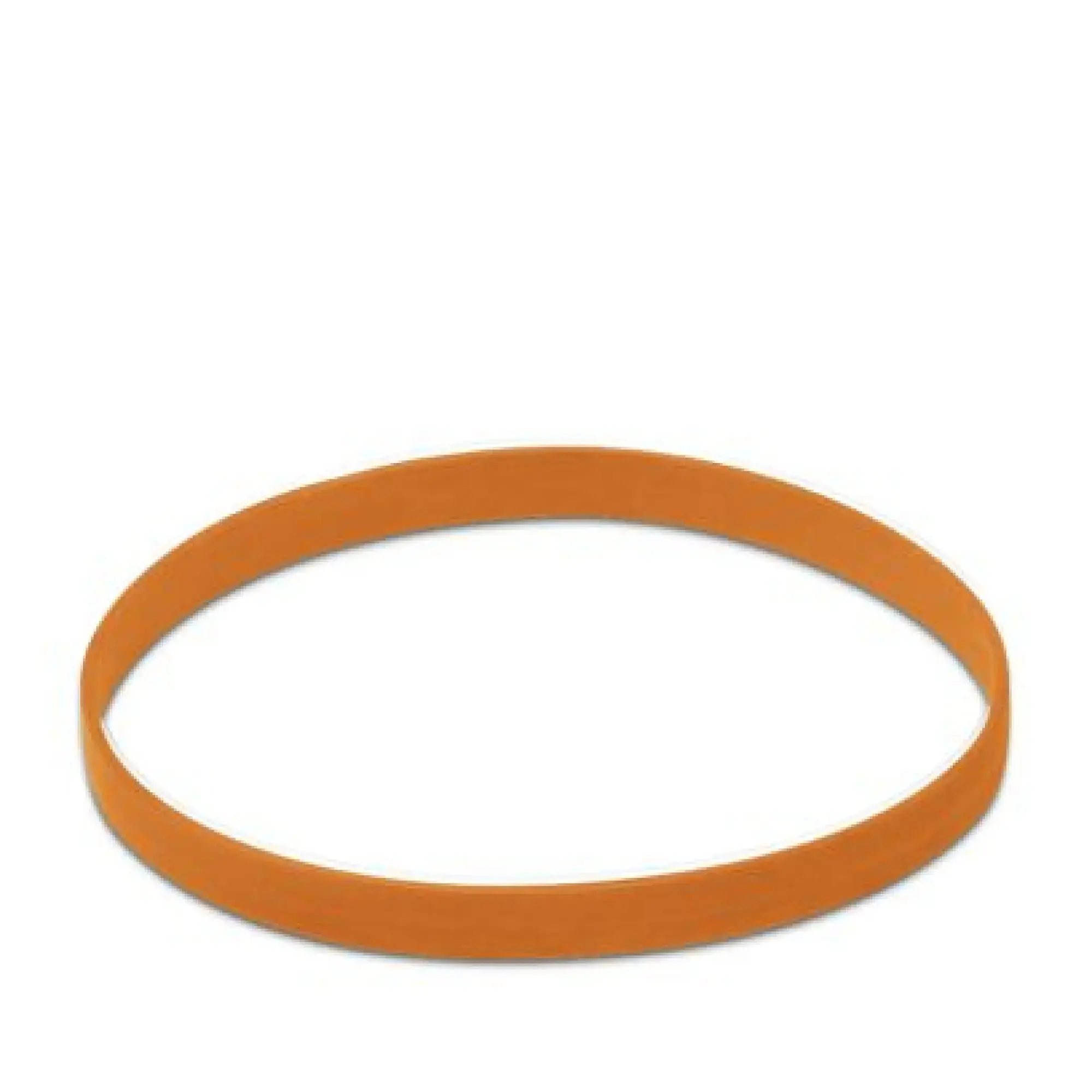 Phoenix Contact 1620559 Color coding SM-Z0026 (img_001)