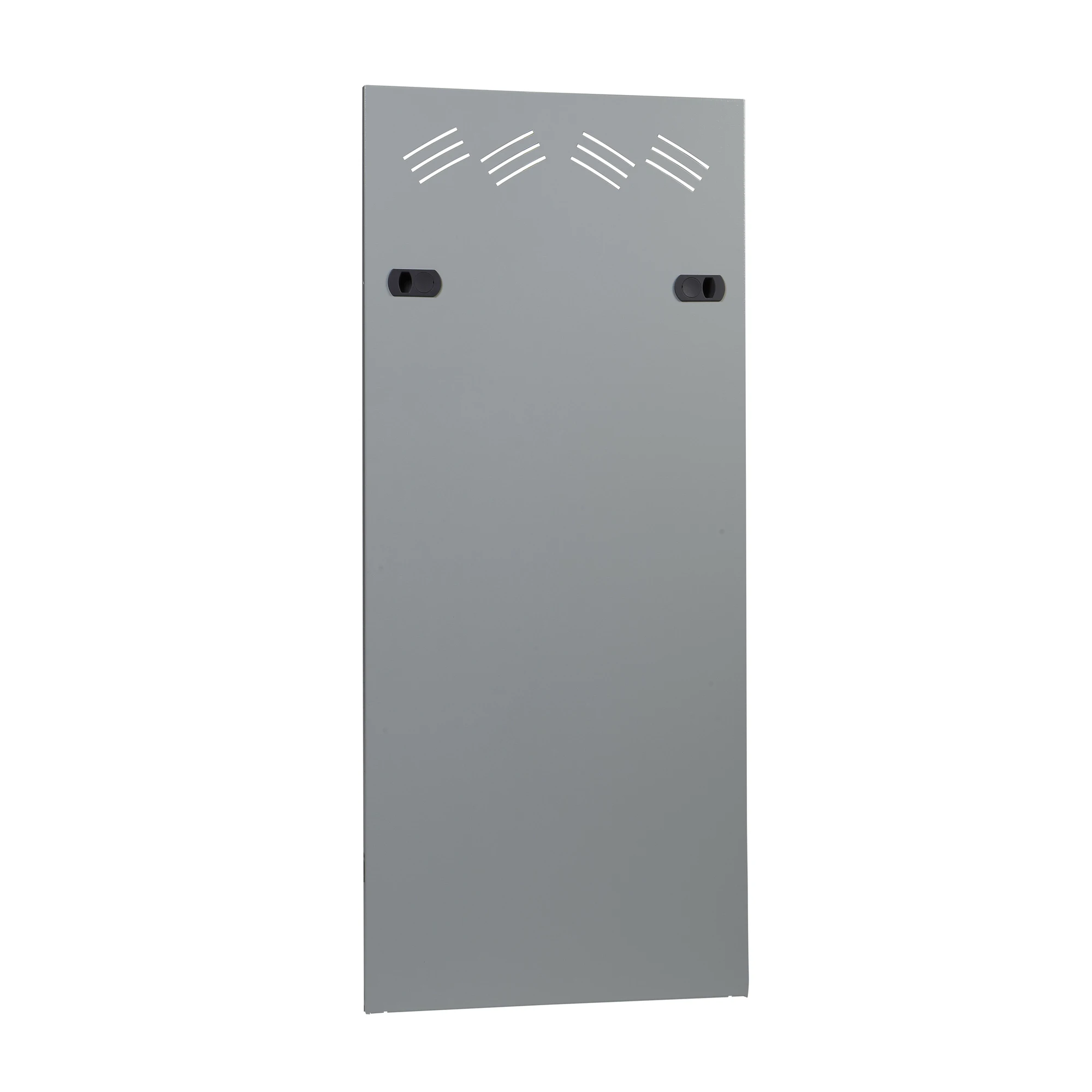 Schneider Electric NSY2PLVDC42U10 Actassi, side panel, 42U, depth 1000 mm (img_001)