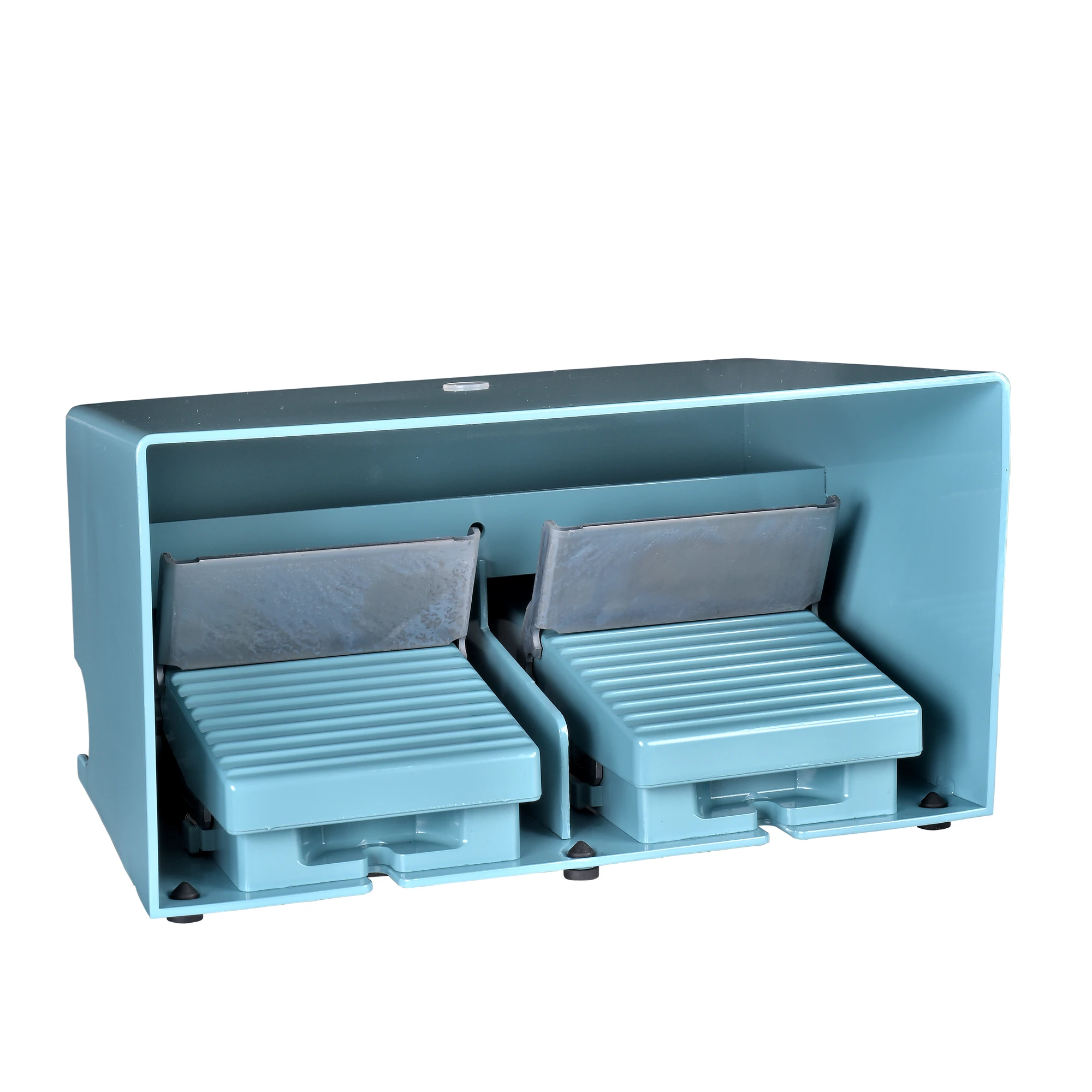 Schneider Electric XPEM5100D Footswitch, Harmony XPE, double, metal, blue,1-stage, 2NC+2NO, IP66, with protective cover, with locking mechanism (img_001)