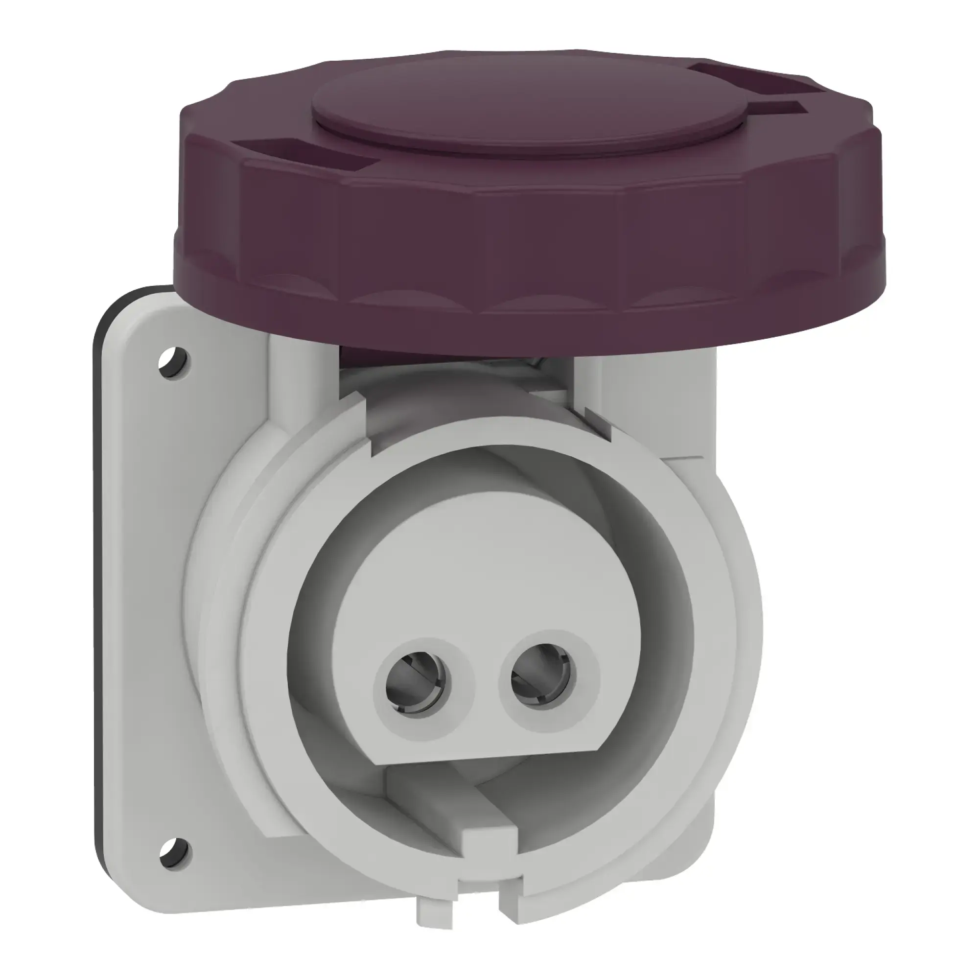 Schneider Electric 82951 Surface-mounted socket, 16A, 2p, 20-25 V AC, IP67 (img_002)