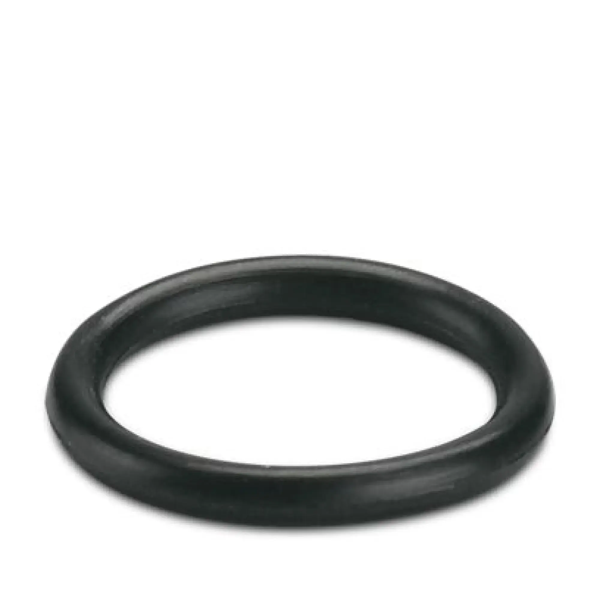 Phoenix Contact 3241188 Sealing ring WP-OR M12 (img_001)