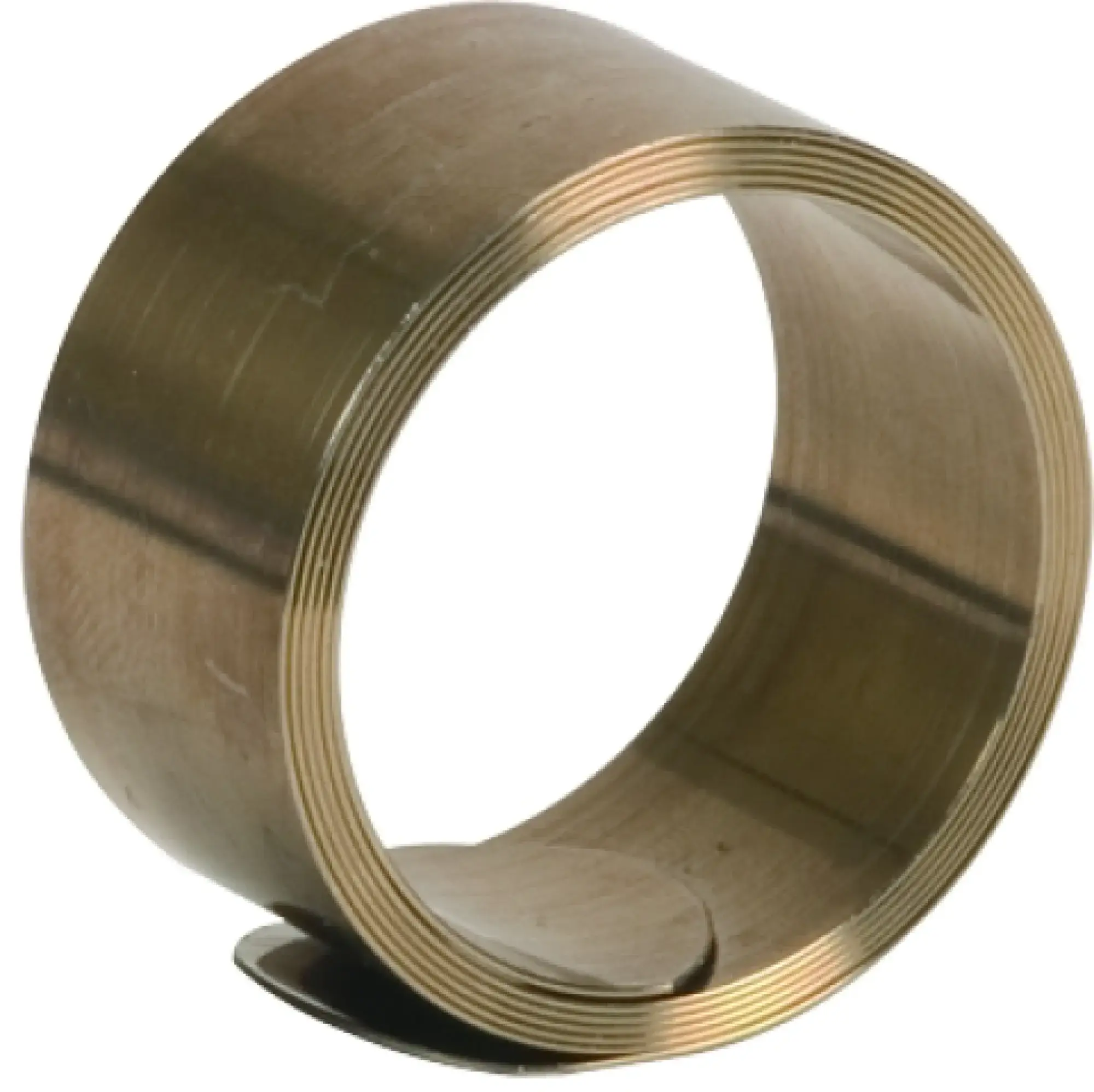 Dehn 919036 Constant force spring for shield connection D 31-50mm StSt (img_001)