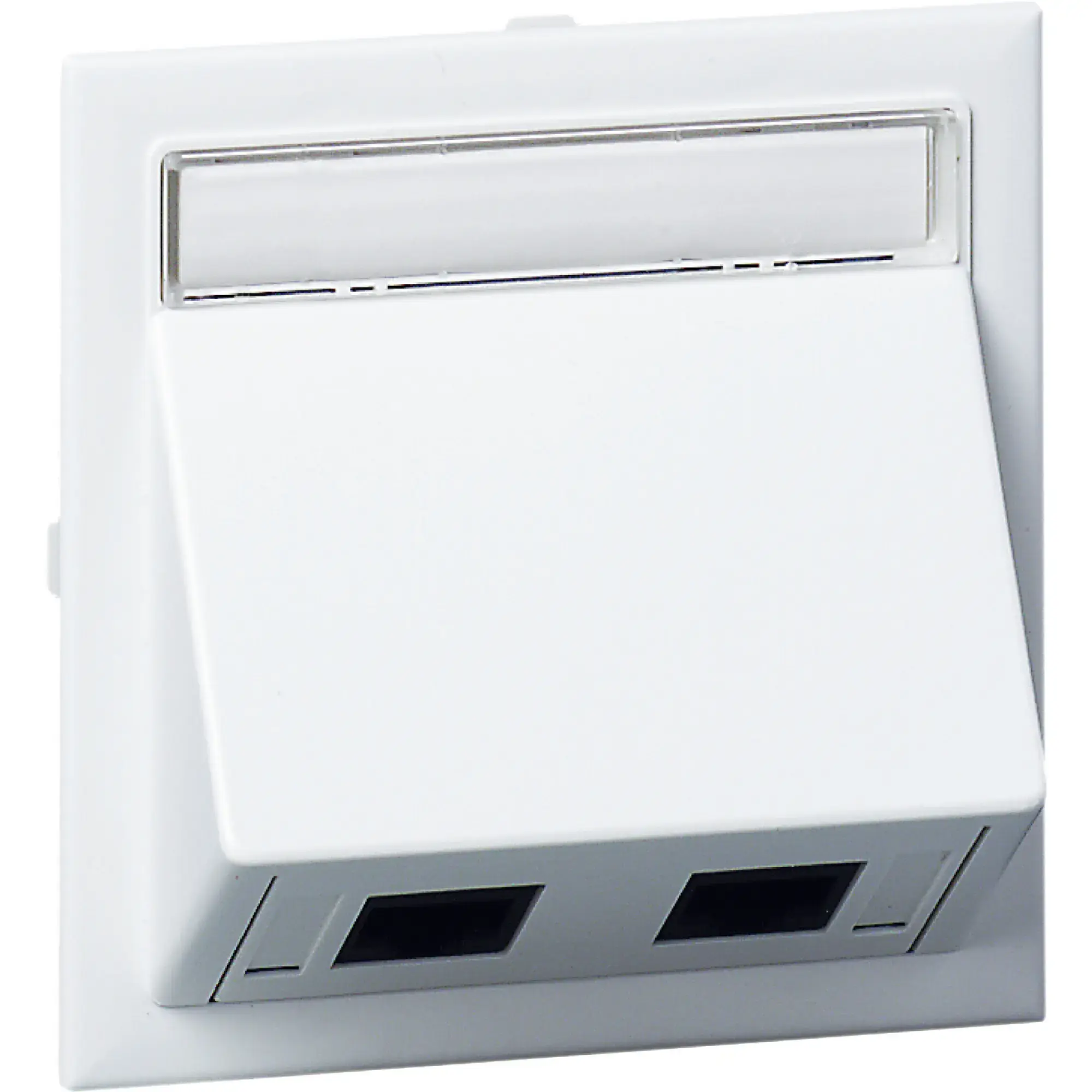 Schneider Electric INS60500 Connection kit angled 2XActassi 500 cat6 UTP white RAL9016 Type:CYB-DP (img_002) Schneider Electric INS60500 Connection kit angled 2XActassi 500 cat6 UTP white RAL9016 Type:CYB-DP (img_002)