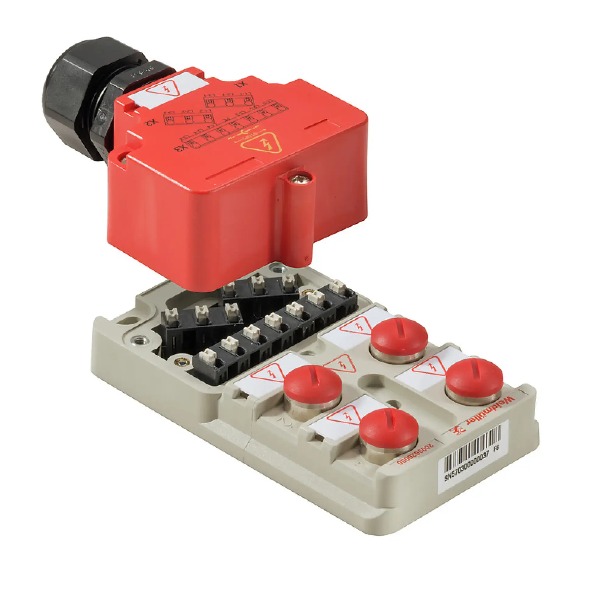 Weidmüller 2009620000 Sensor-actuator passive distributor (without cable), Hood version, M12, 400 V, S-coded, LED: Yes (img_001)