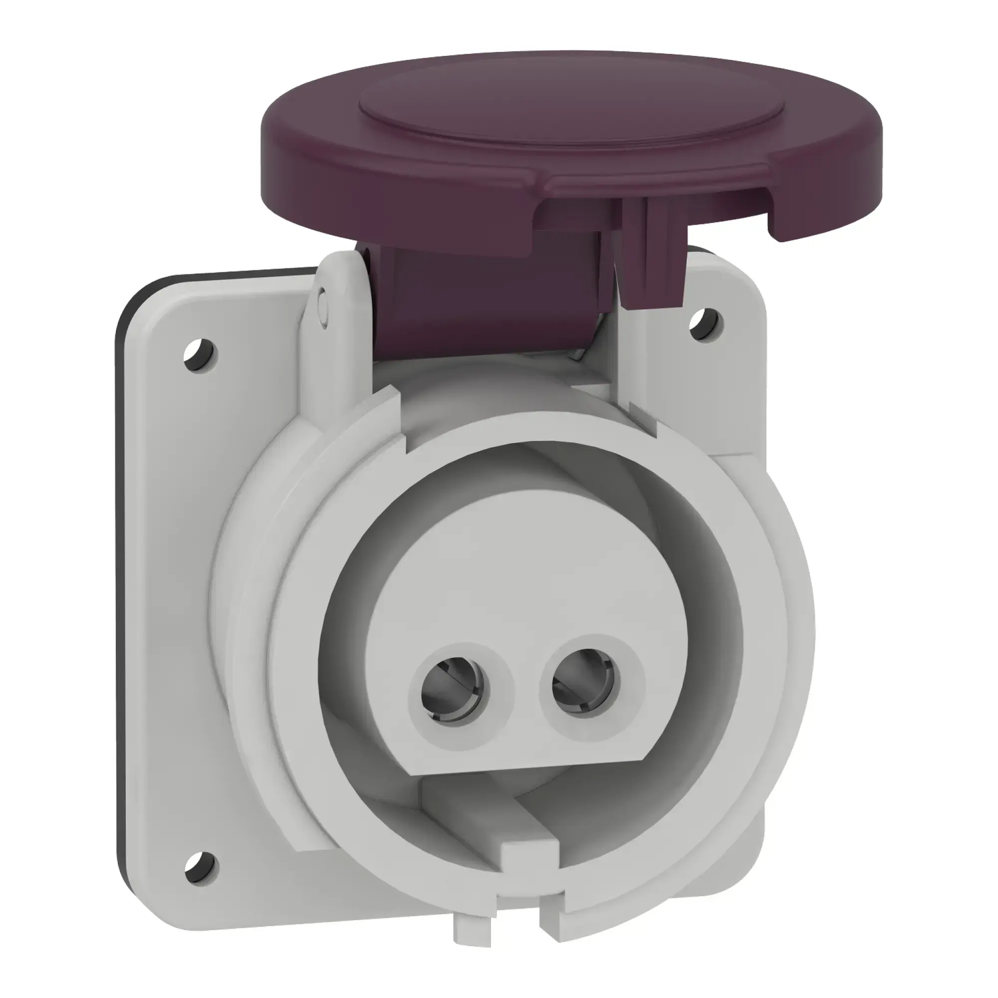 Schneider Electric 82901 Mounting socket, 16A, 2p, 20-25 V AC, IP44 (img_002)