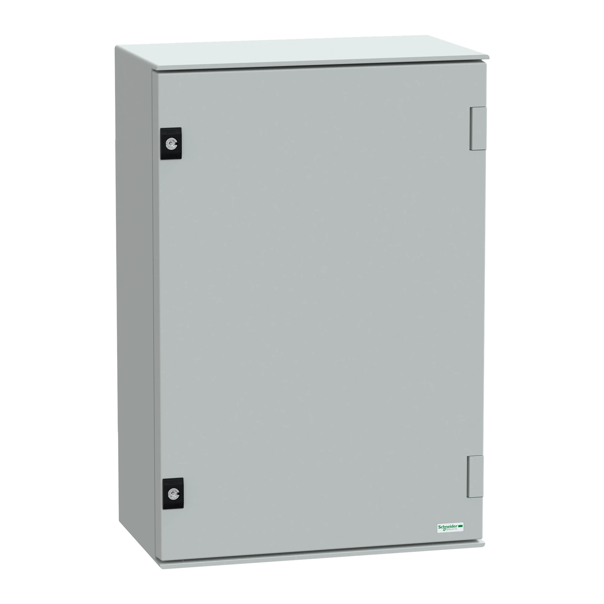 Schneider Electric NSYPLM64PG Polyester Enclosure PLM Wall Mounting, with Metal Mounting Plate H647xB436xT250mm IP66 (img_001)