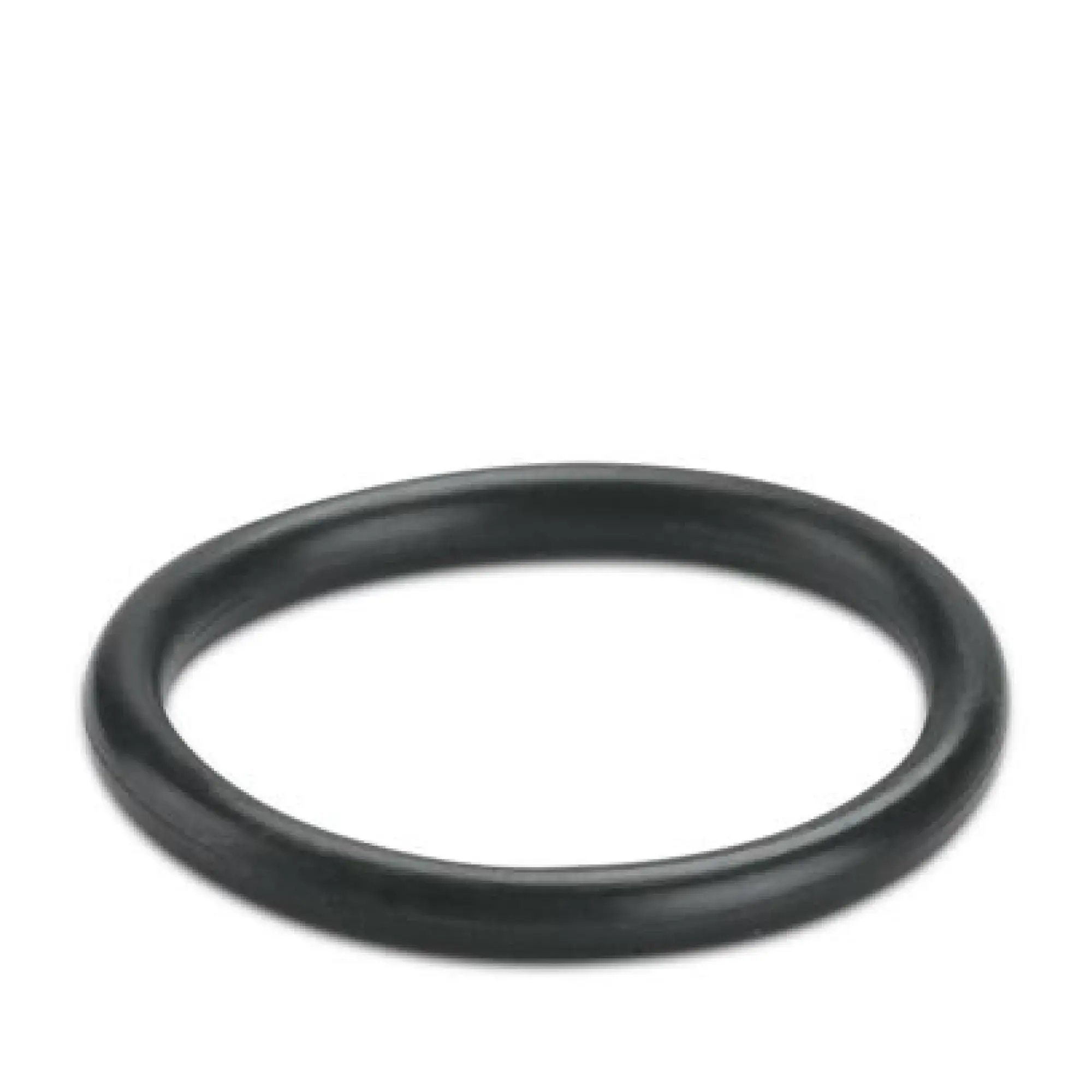 Phoenix Contact 3241190 Sealing ring WP-OR M20 (img_001)