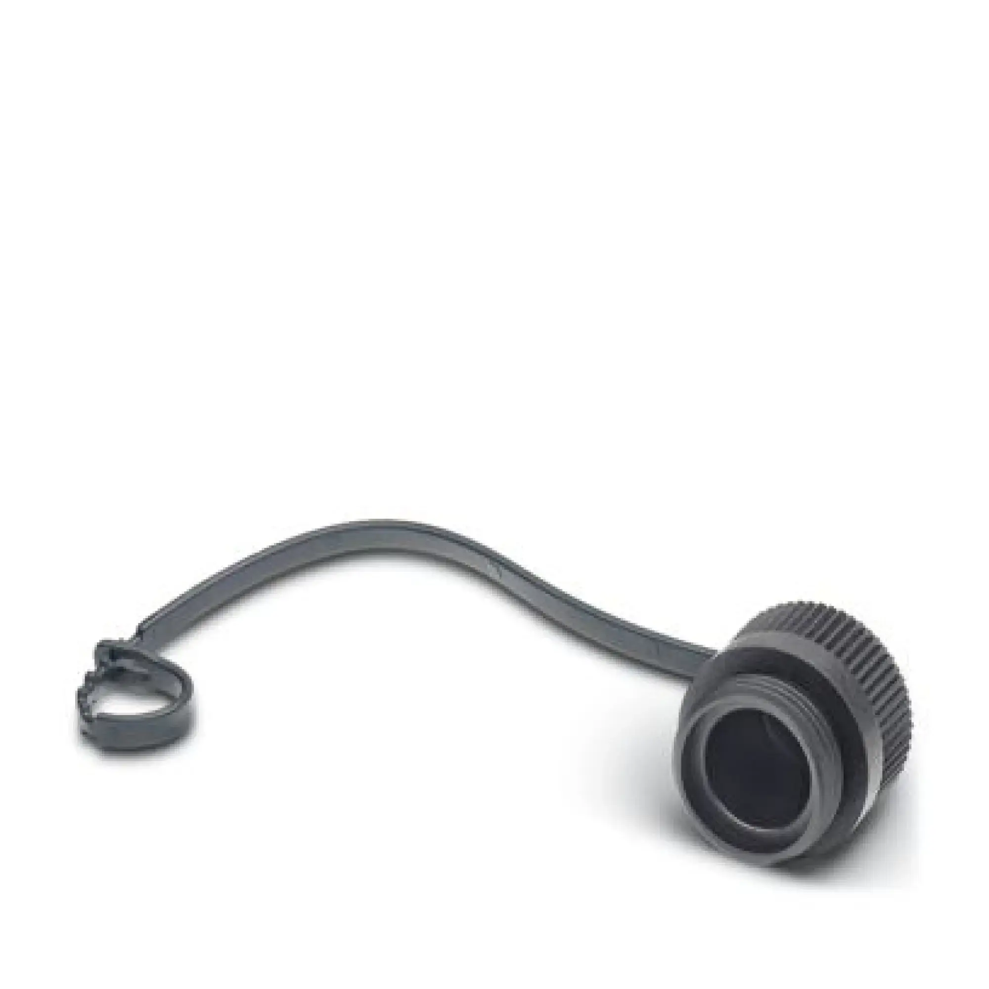 Phoenix Contact 1430925 Screw plug PROT-MINMS-PA-CHAIN (img_001)