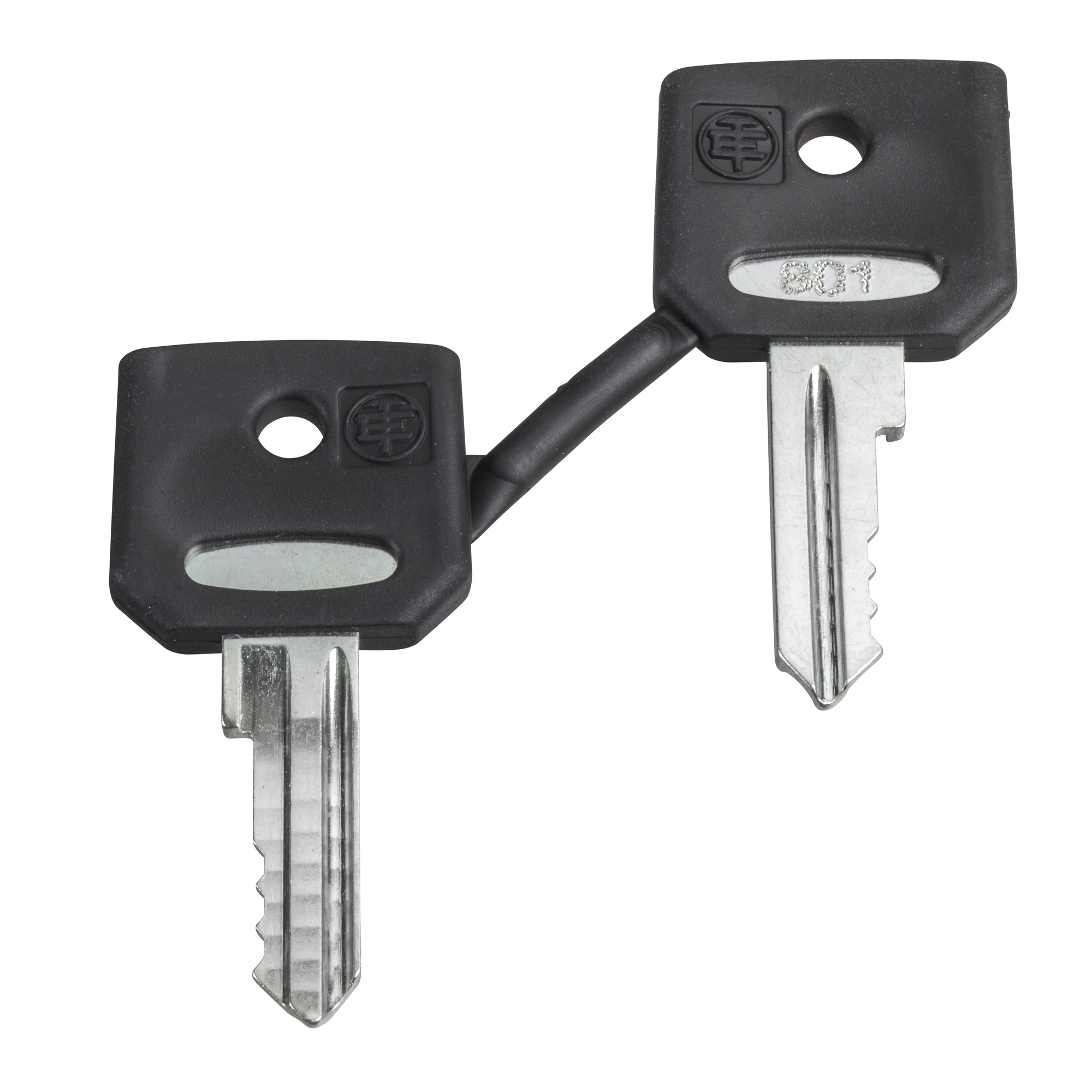 Schneider Electric ZBDA185 Replacement key for key switch, 4A185, packaging unit: 2 pcs. (img_001) Schneider Electric ZBDA185 Replacement key for key switch, 4A185, packaging unit: 2 pcs. (img_001)