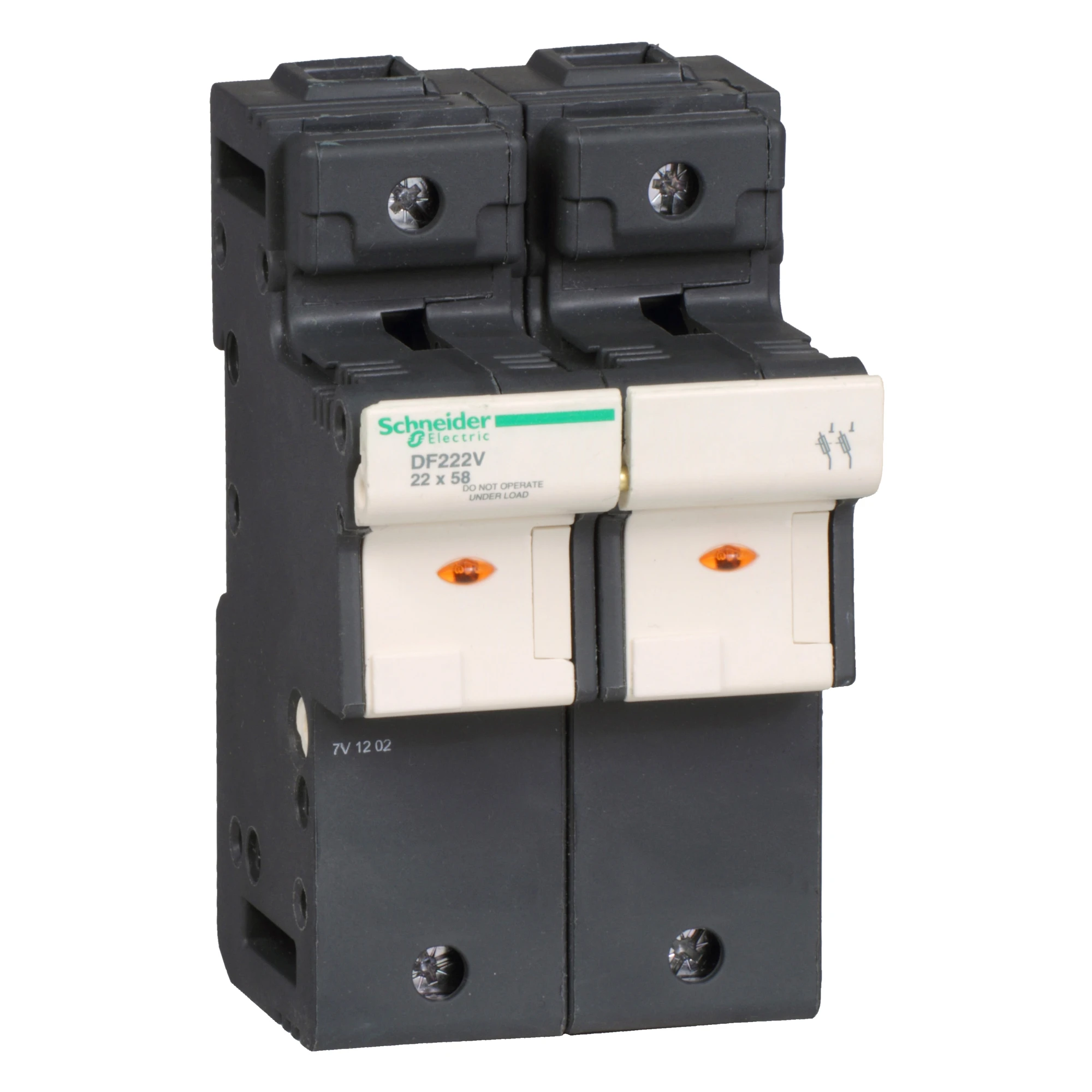 Schneider Electric DF222V Fuse holder TeSys 2p 125A, fuse size 22x58mm, with indicator for fuse-fail (img_001)