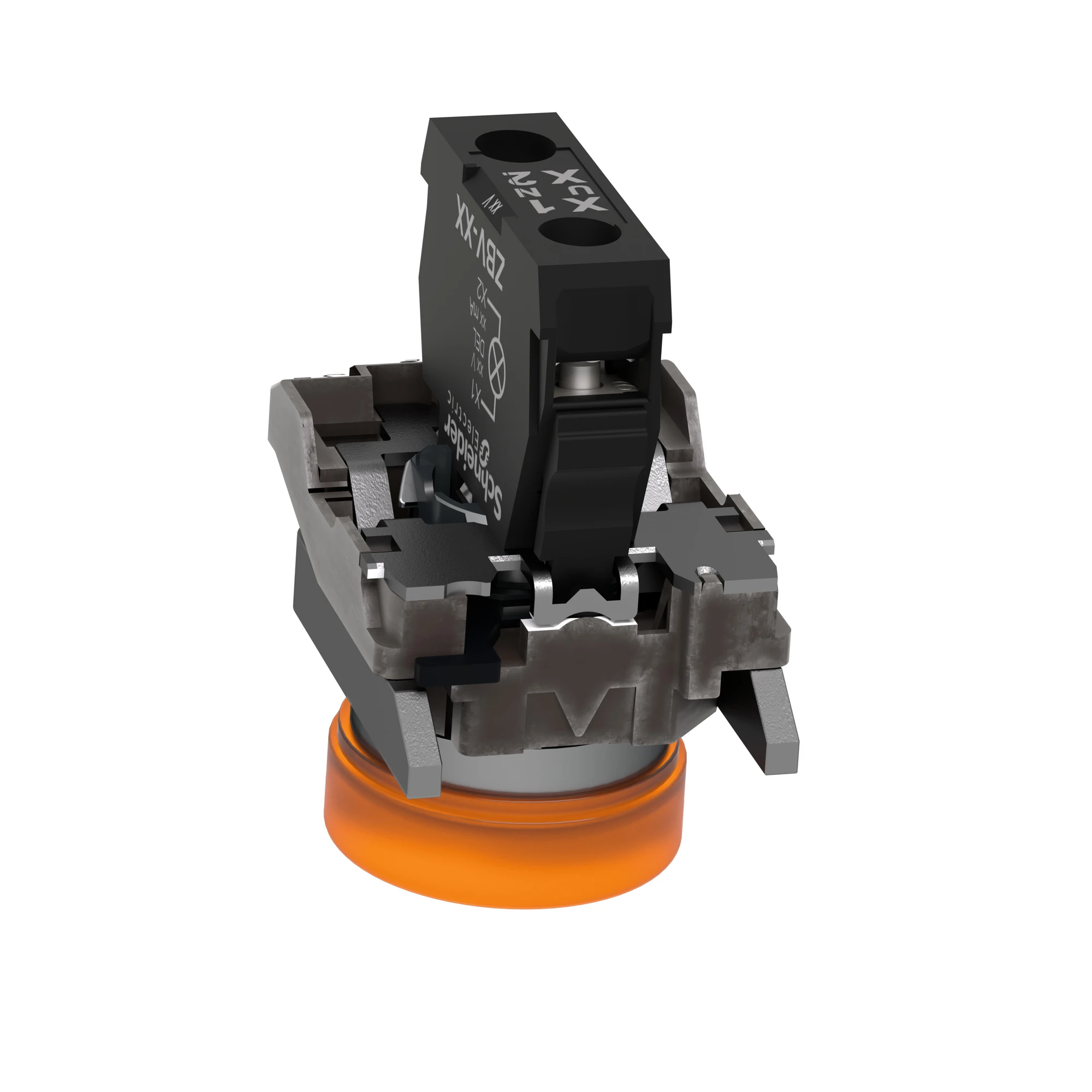 Schneider Electric XB4BVG5 Pilot light, Harmony XB4, Metal, 22mm, orange, universal LED, smooth dome, screw terminal, 110-120V AC (img_007)