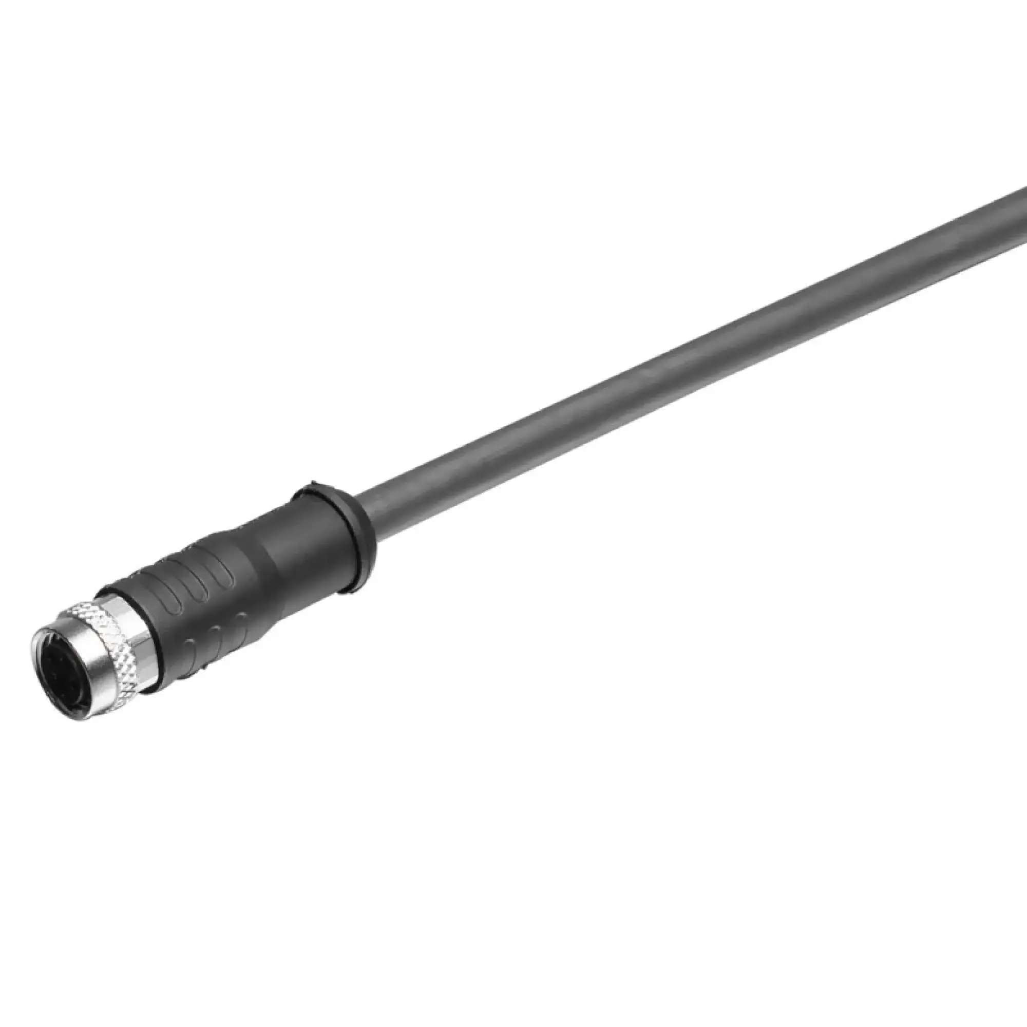 Weidmüller 1906600030 Sensor-actuator Cable, M8, Number of poles: 3, Female socket, straight, LED: No, Cable length: 0.3 m SAIL-M8BG-3S0.3U (img_001)