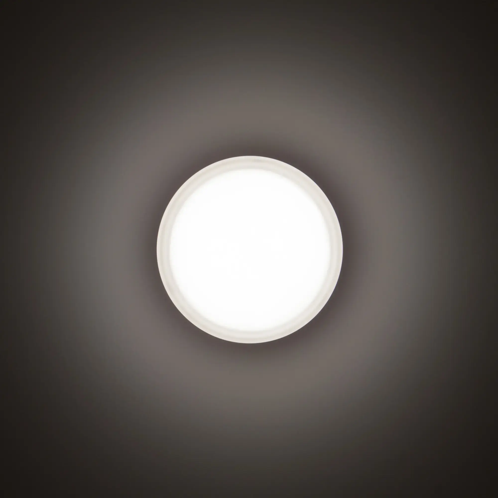 Performance iN Lighting 3109458 LED-Wand- und Deckenleuchte 3000K 16W statisch sym. extrabreite Streuoptik 3109458 (img_001) Performance iN Lighting 3109458 LED-Wand- und Deckenleuchte 3000K 16W statisch sym. extrabreite Streuoptik 3109458 (img_001)