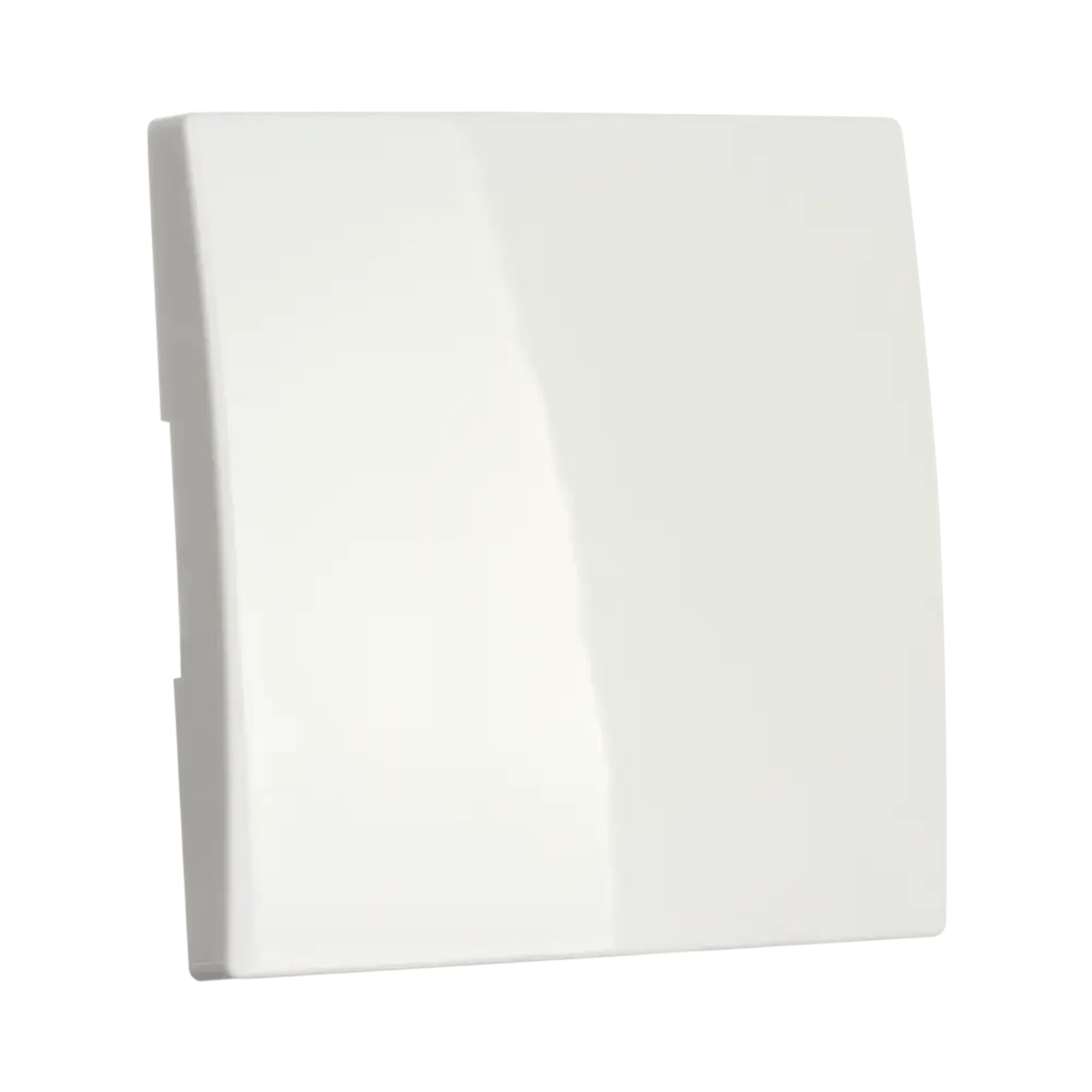 ION INDUSTRIES 20.302.014 Control rocker switch E1 Alpine White (img_003) ION INDUSTRIES 20.302.014 Control rocker switch E1 Alpine White (img_003)