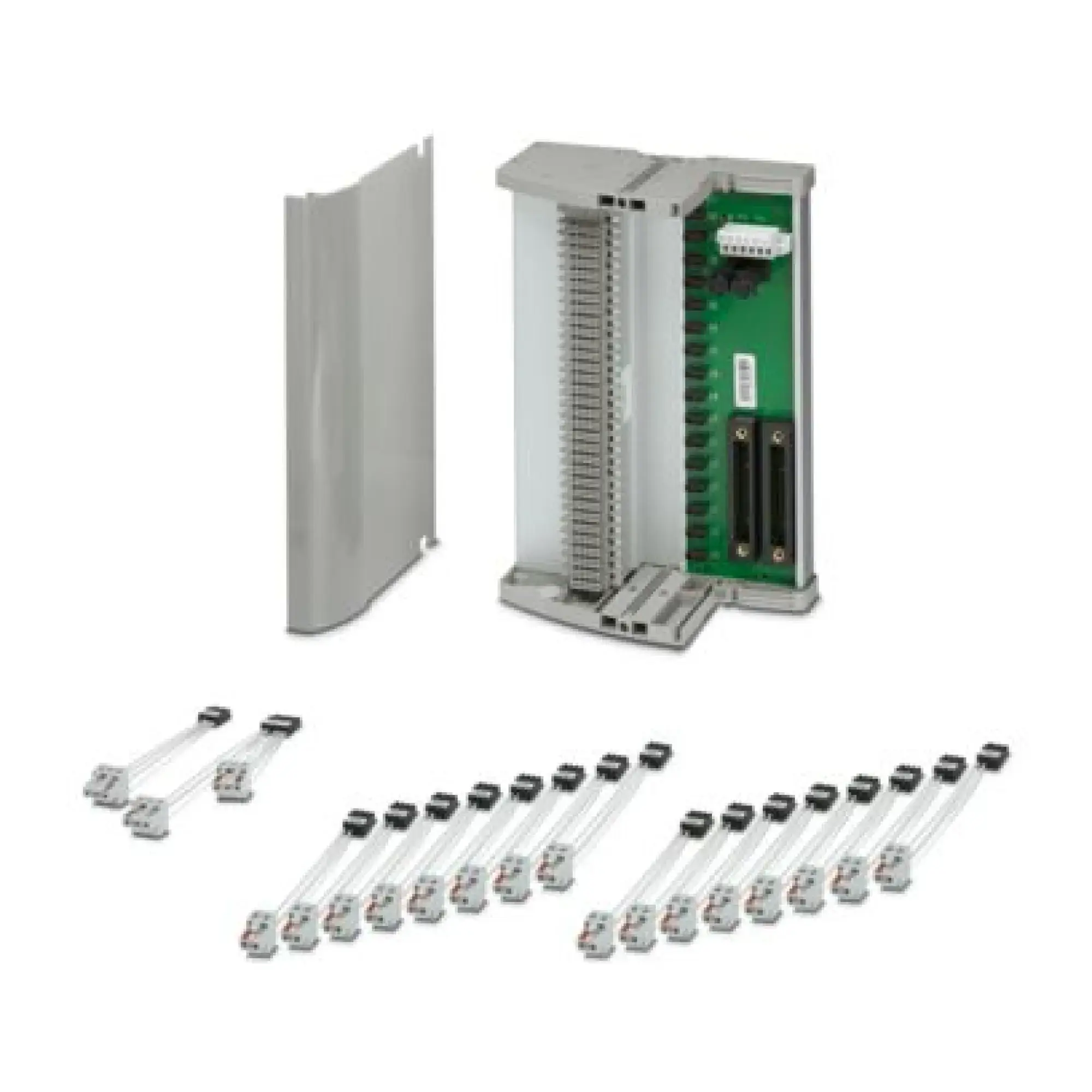 Phoenix Contact 2905201 Module carrier TC-2KS40-AO16-EX-PR-CS (img_001)