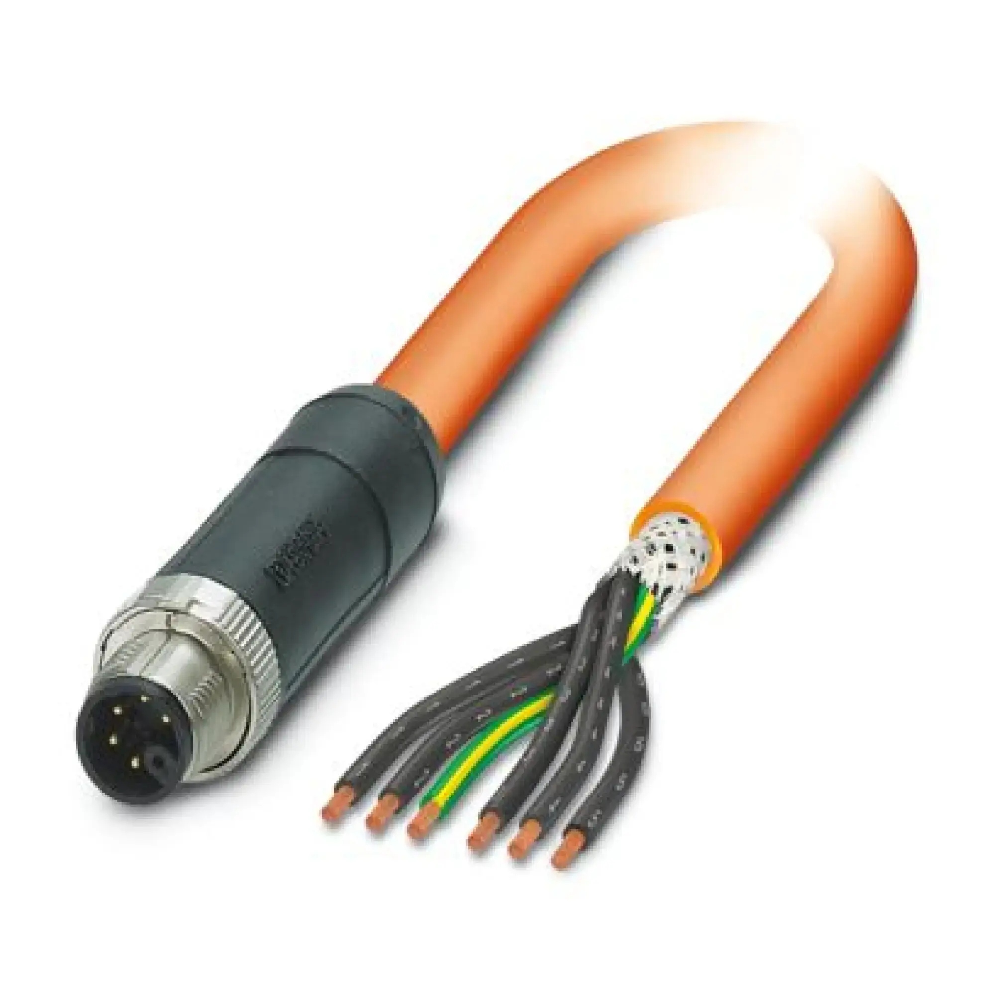 Phoenix Contact 1414956 Power cable SAC-6P-M12MSM/ 3,0-PVC PE SH (img_001)