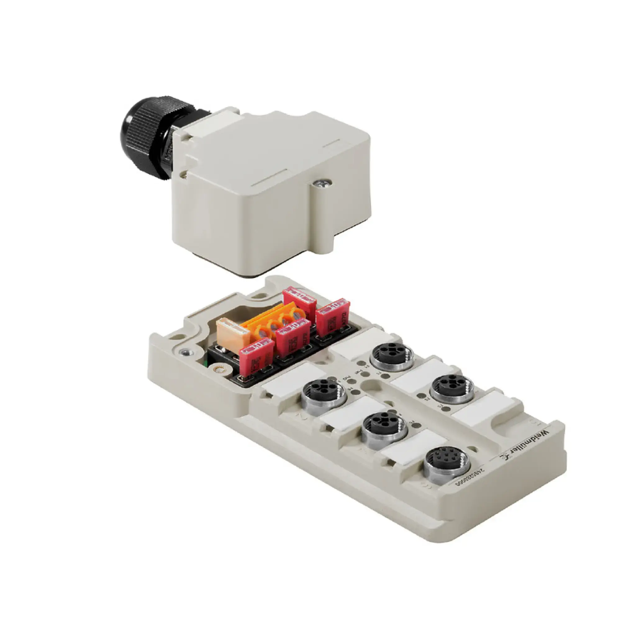 Weidmüller 2495280000 Sensor-actuator passive distributor (without cable), Hood version, M12, 48 V, T-coded, LED: Yes, LED initiator: Yes (img_001)