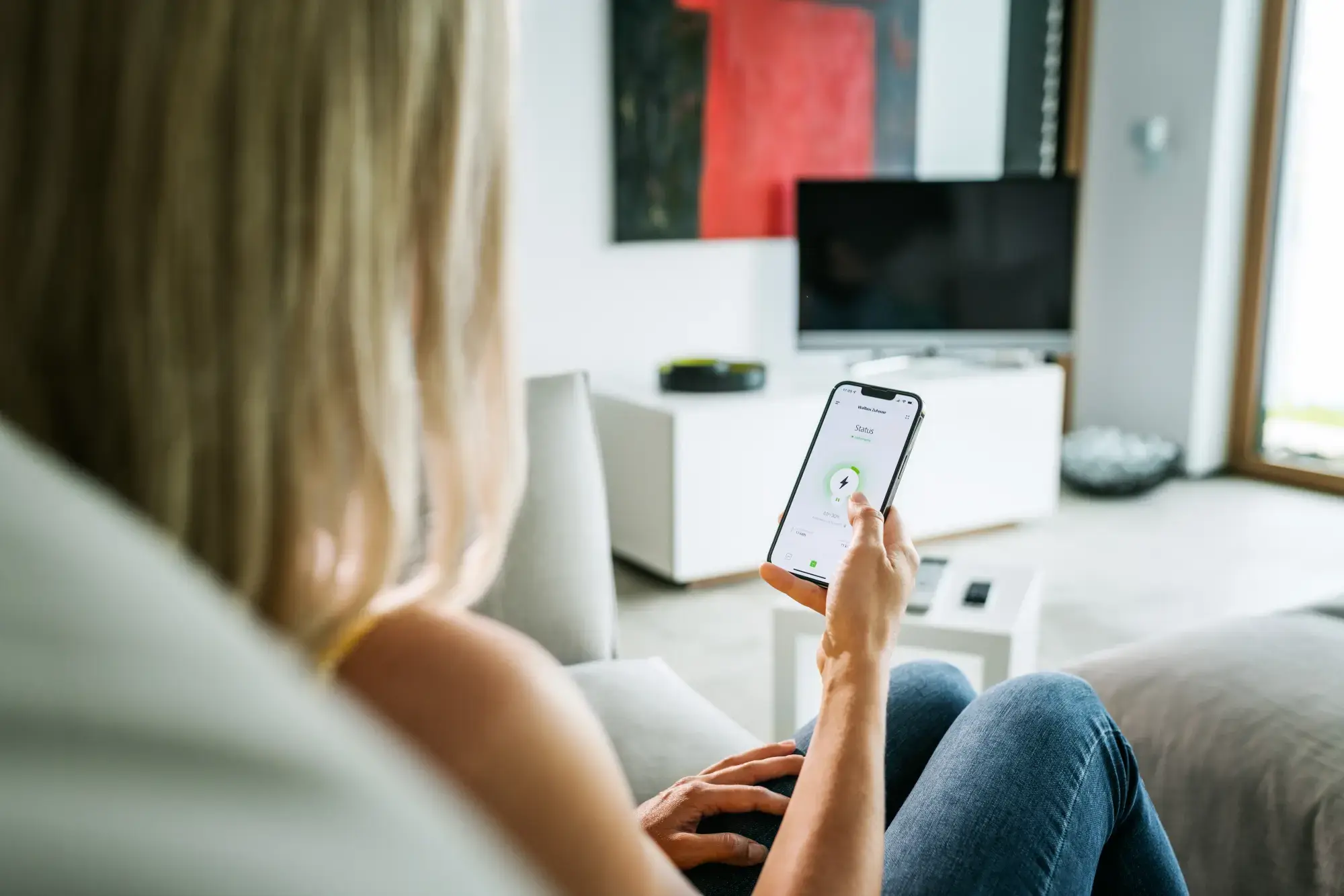 Spelsberg 59153701 Wallbox, Type of protection IP54, Max. conductor cross section 6², Impact strength IK08, Protection class II, Rated voltage 400V AC, Halogen free (img_007)