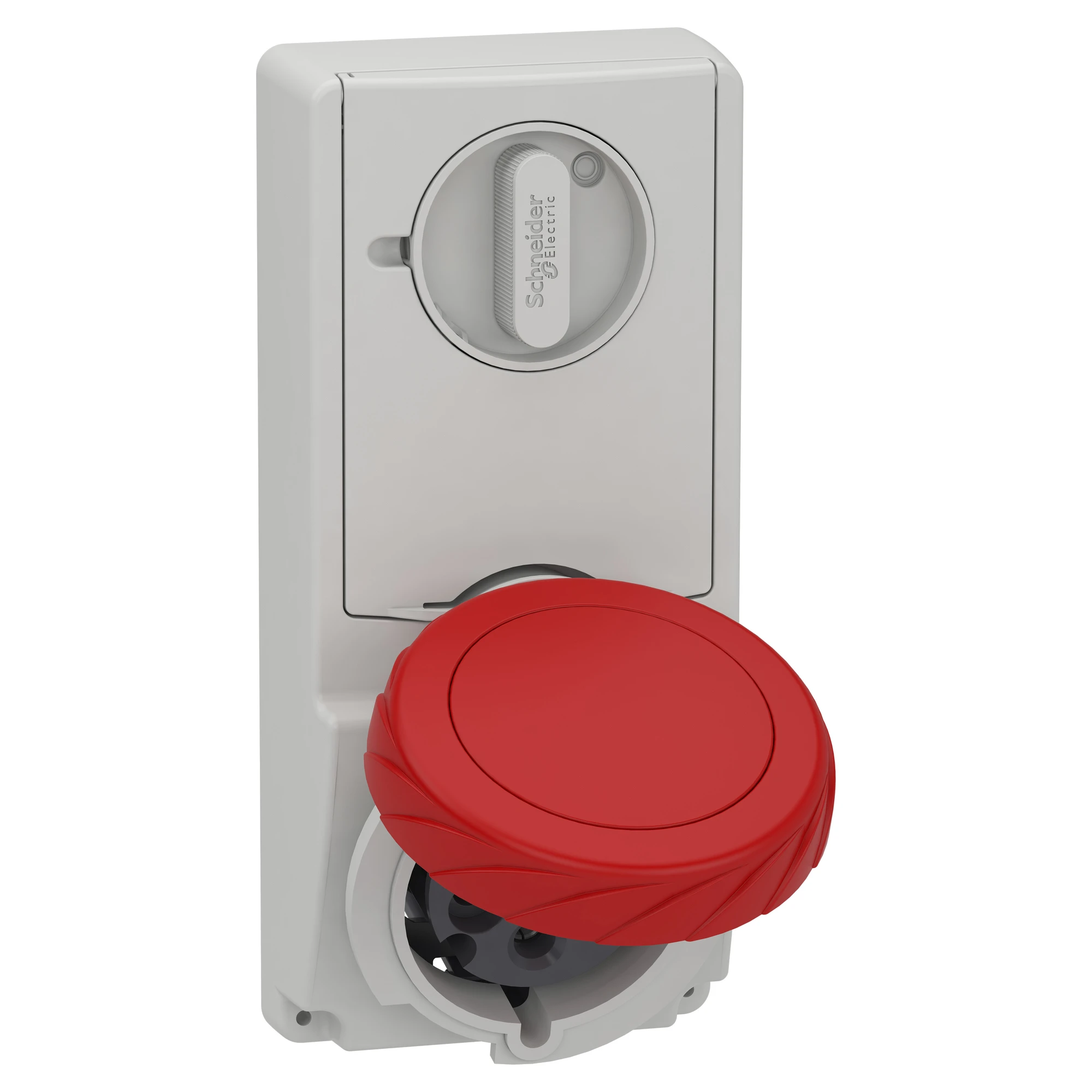 Schneider Electric 82197 Surface-mounted locking socket, 32A, 3p+N+E, 380-415 V AC, IP65 (img_001) Schneider Electric 82197 Surface-mounted locking socket, 32A, 3p+N+E, 380-415 V AC, IP65 (img_001)