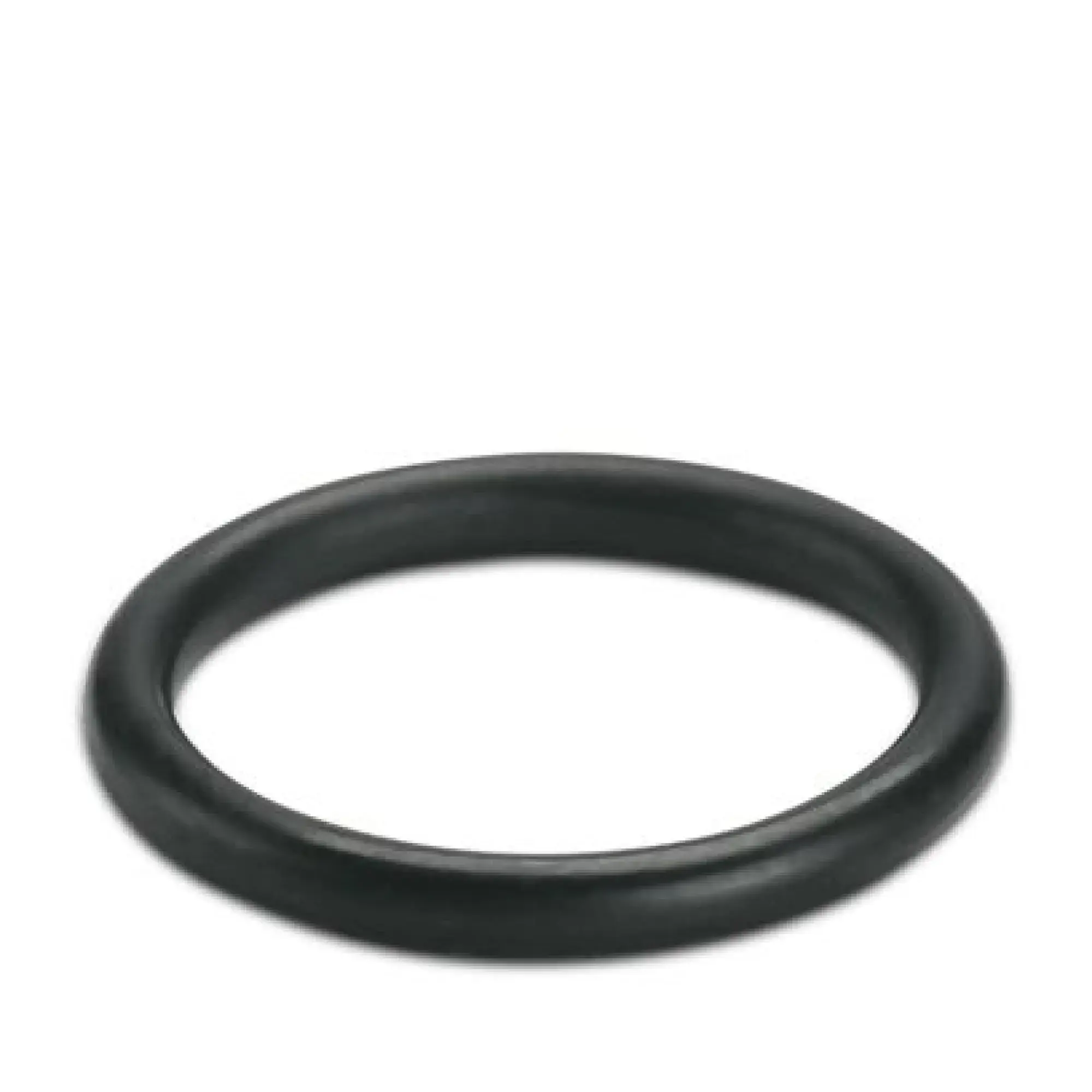Phoenix Contact 3241196 Sealing ring WP-OR PG11 (img_001)