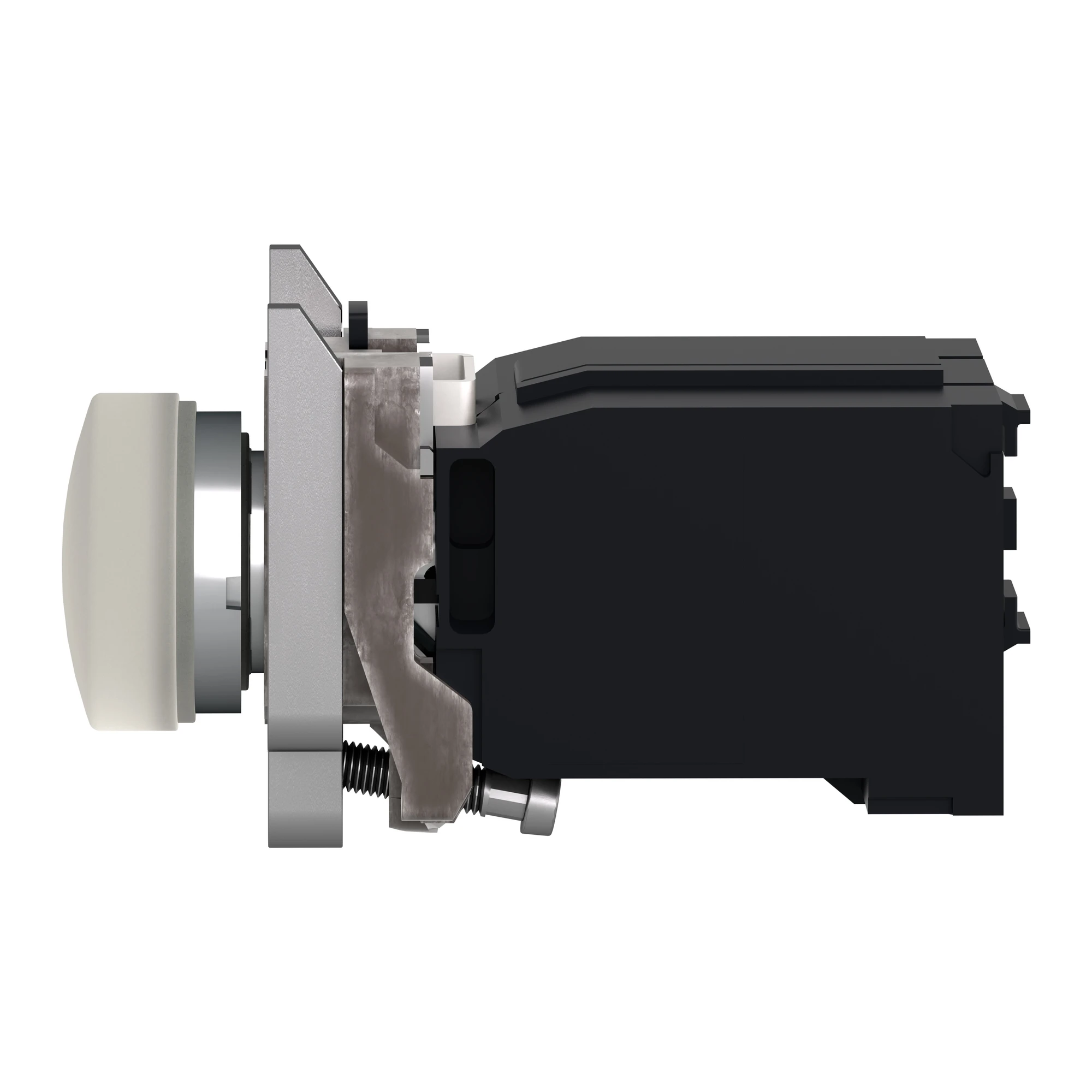 Schneider Electric XB4BV41 Pilot light, Harmony XB4, metal, 22mm, white, with transformer, BA9s incandescent bulb, smooth dome, screw terminal, 230V AC (img_006)