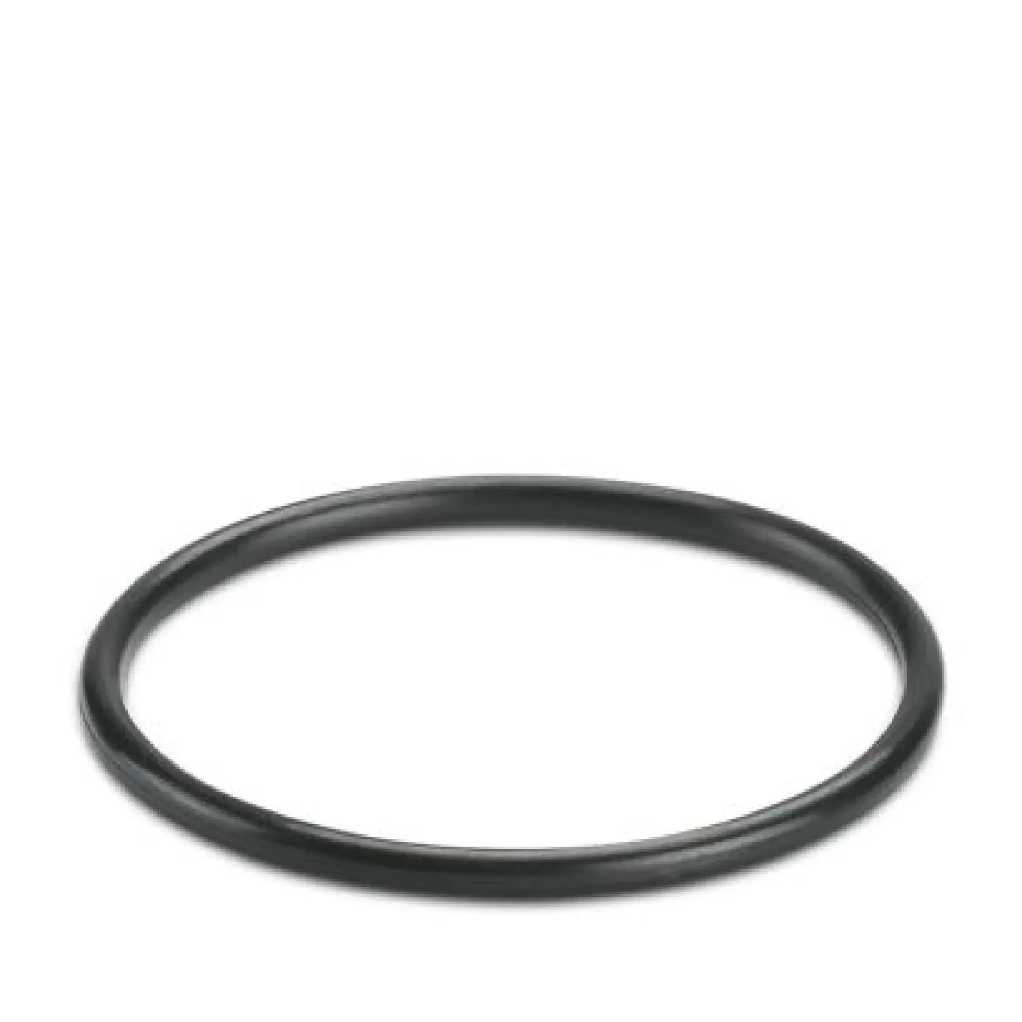 Phoenix Contact 3241199 Sealing ring WP-OR PG29 (img_001)