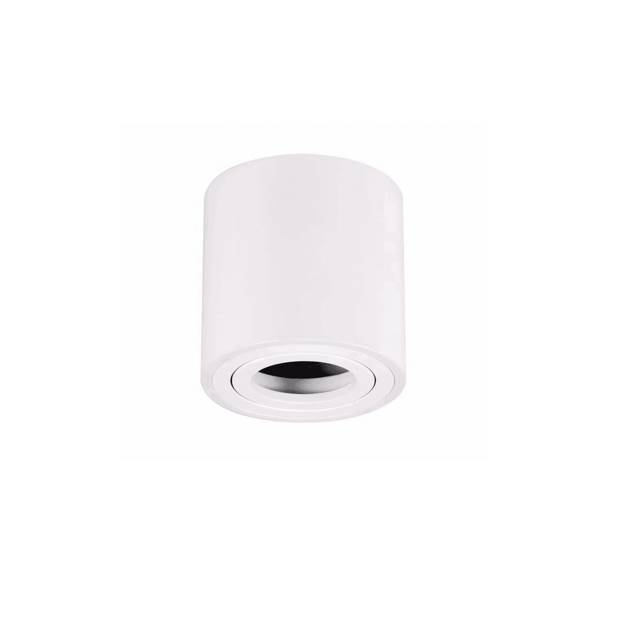 WSU Lights GU10 Luminaire Noufi for MR16 swiveling white - IP20
