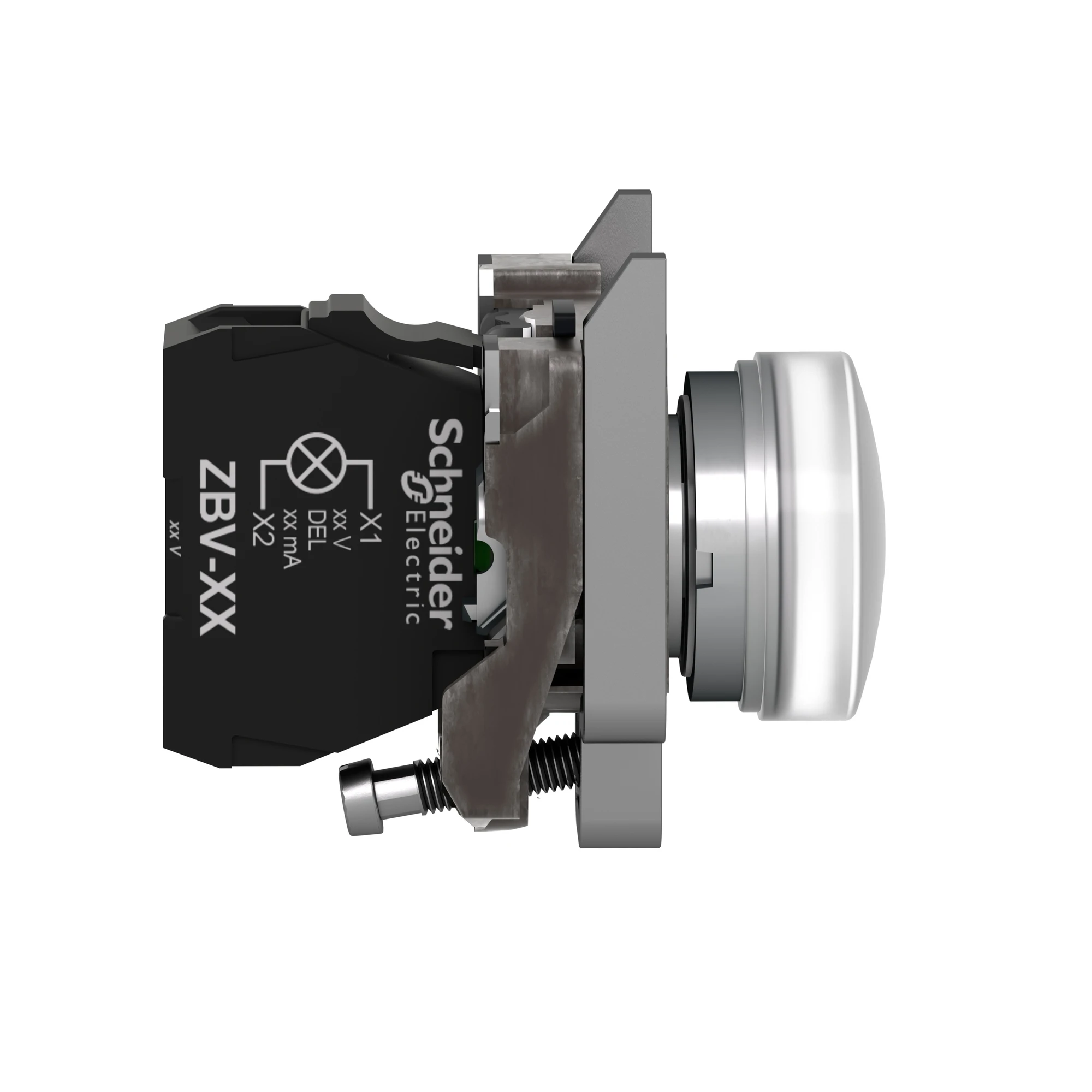Schneider Electric XB4BV61 Pilot light, Harmony XB4, metal, 22mm, white, with transformer, BA9s incandescent bulb, smooth dome, screw terminal, 250V (img_002)