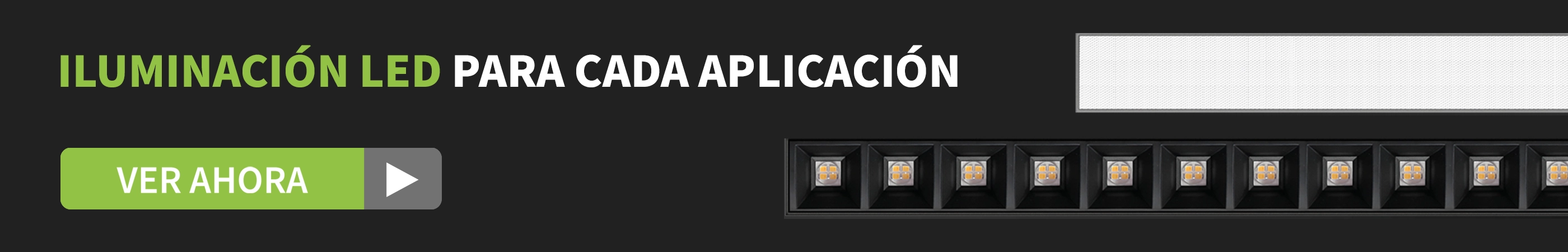 WSU Lights WSU Lights