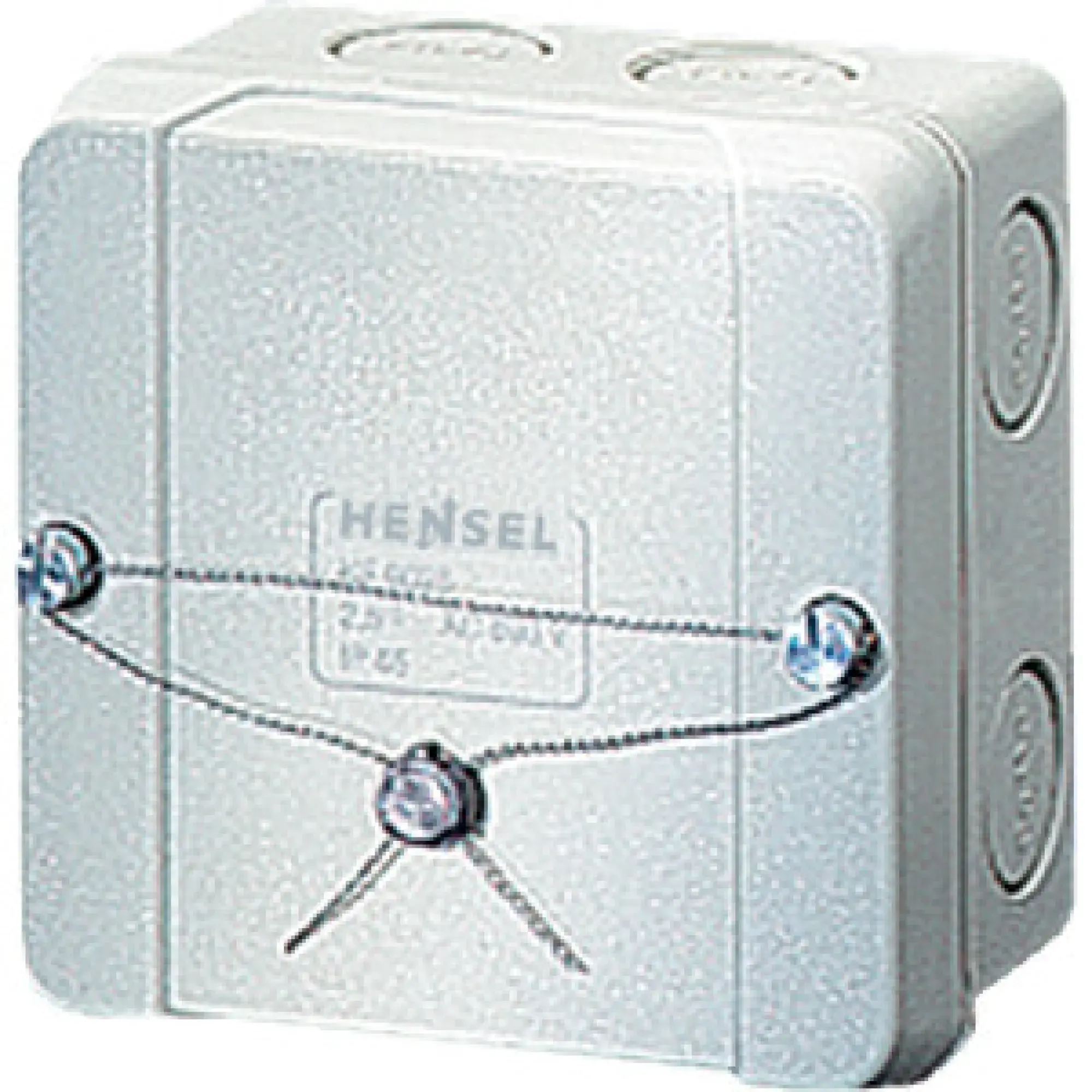 Hensel 9803284 Plombiervorrichtung für Kabelabzweigkästen 2,5-4 qmm PLS 06 (img_001)