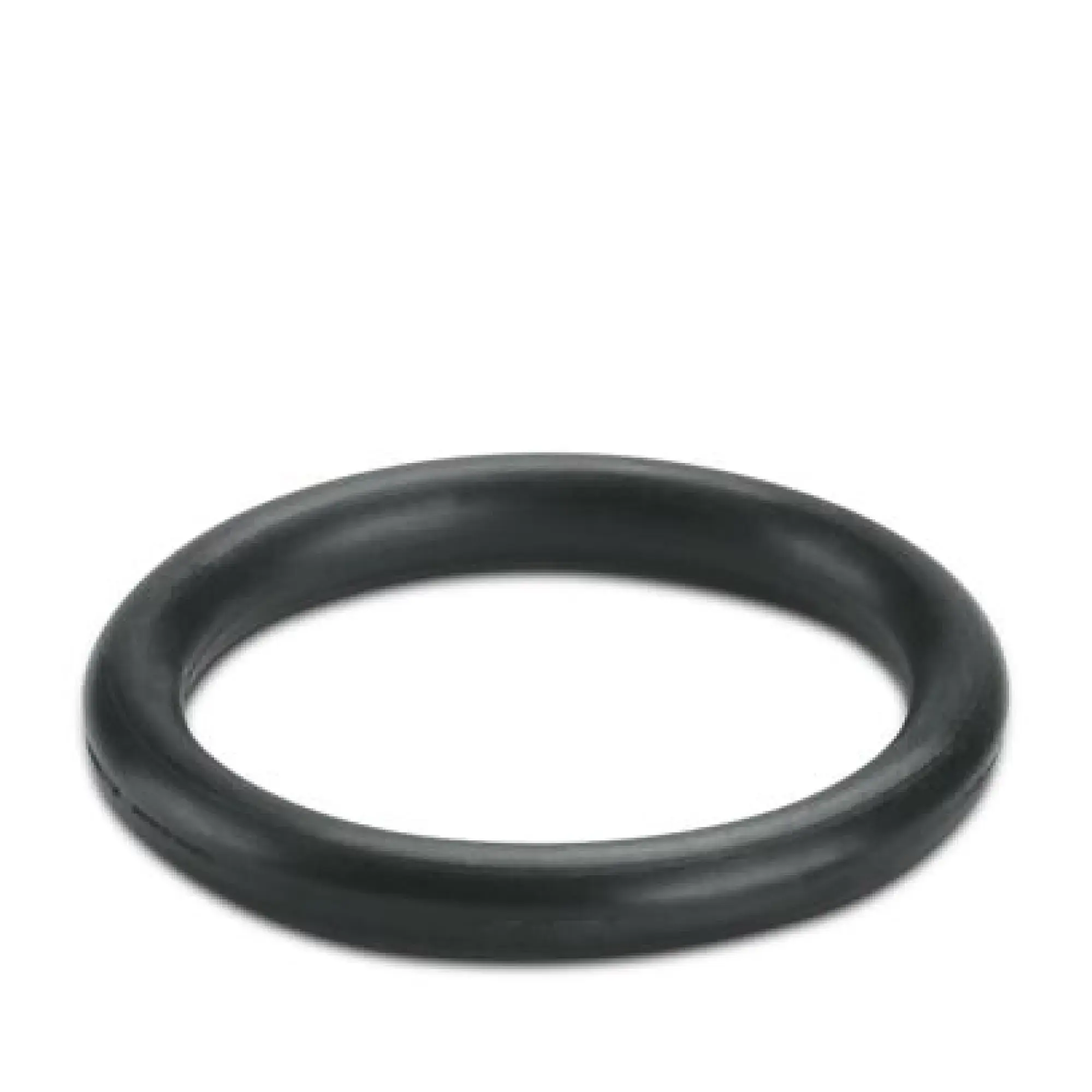Phoenix Contact 3241189 Sealing ring WP-OR M16 (img_001)