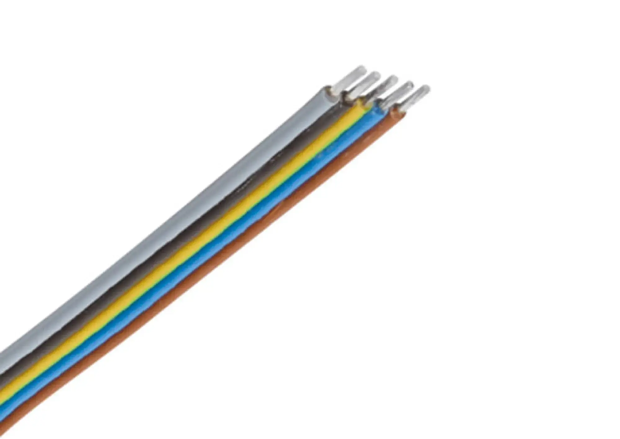 Performance iN Lighting 81039403005 Verbindungsleitung 5x1qmm 400mm 81039403005 (img_001) Performance iN Lighting 81039403005 Verbindungsleitung 5x1qmm 400mm 81039403005 (img_001)