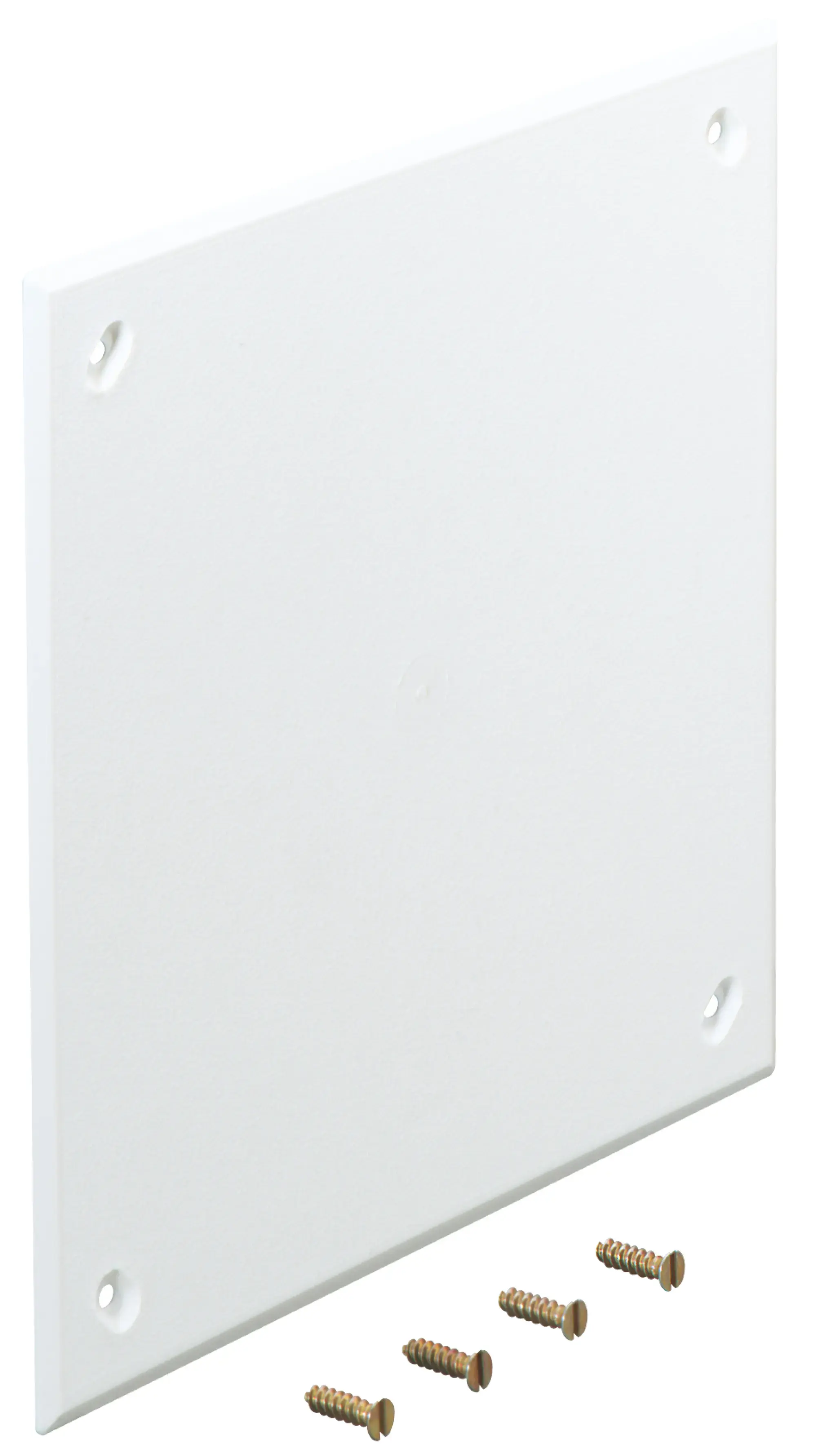 Spelsberg 98010001 sealing plate (img_001) Spelsberg 98010001 sealing plate (img_001)