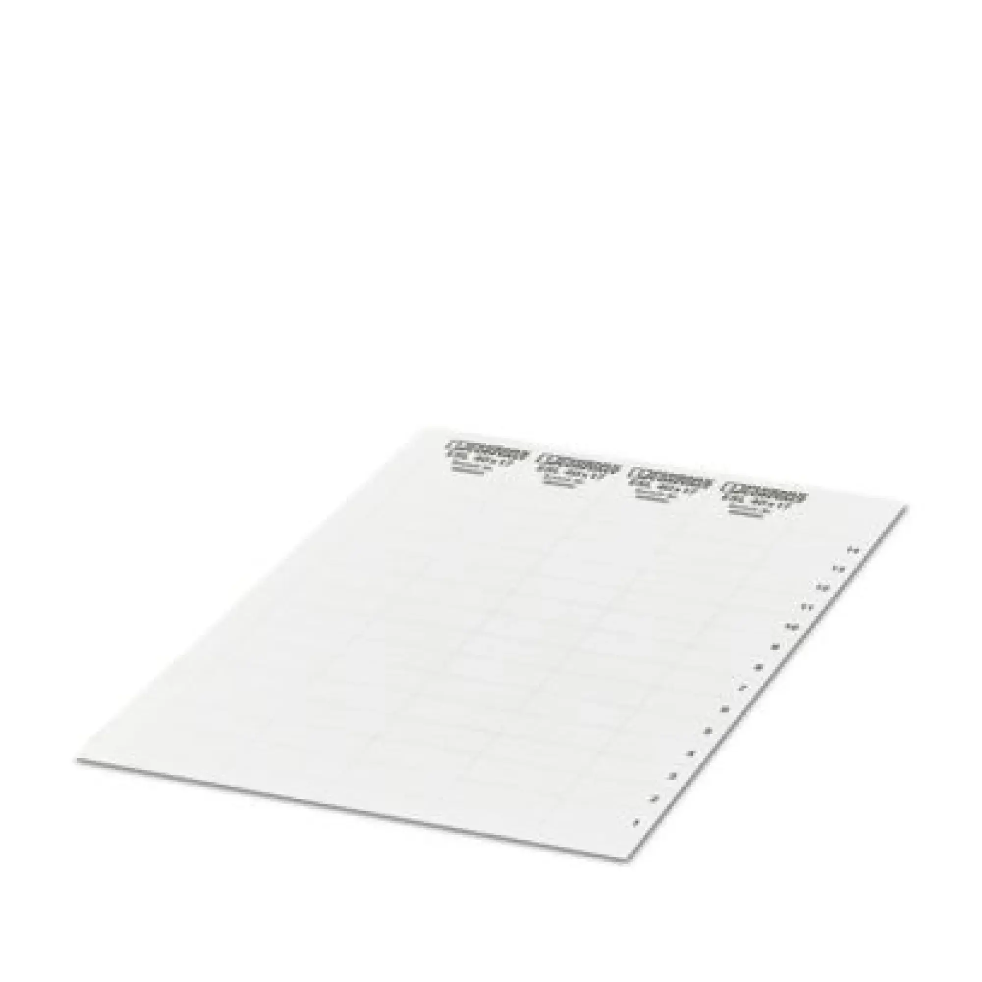 Phoenix Contact 0824403 Insert strip ESL 40X17 CUS (img_001)