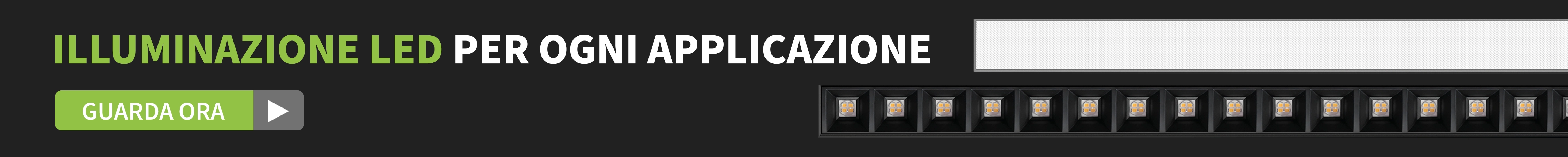 WSU Lights WSU Lights