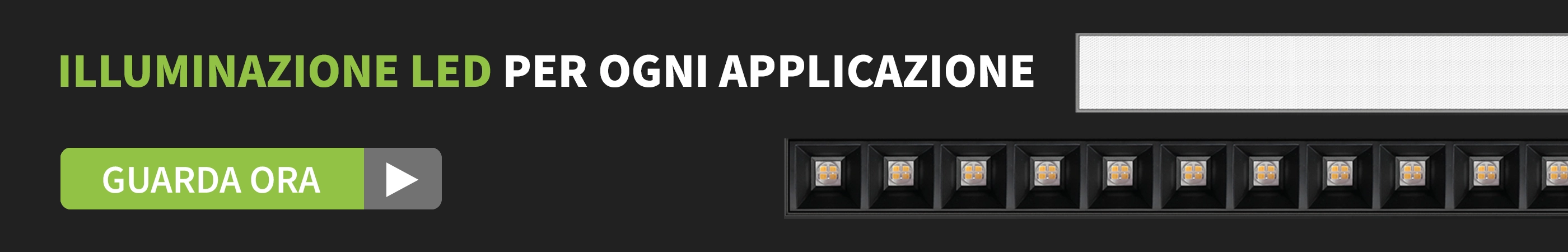 WSU Lights WSU Lights