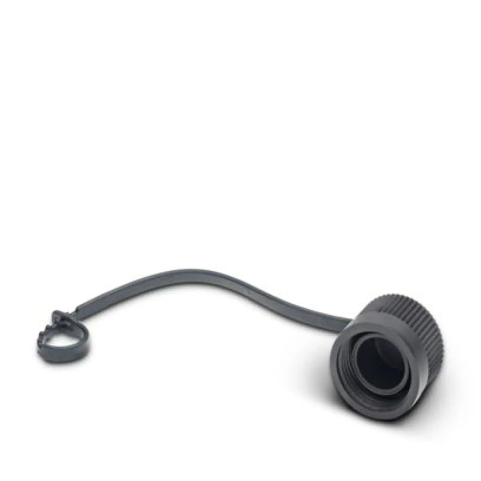 Phoenix Contact 1430912 Sealing cap PROT-MINFS-PA-CHAIN (img_001)