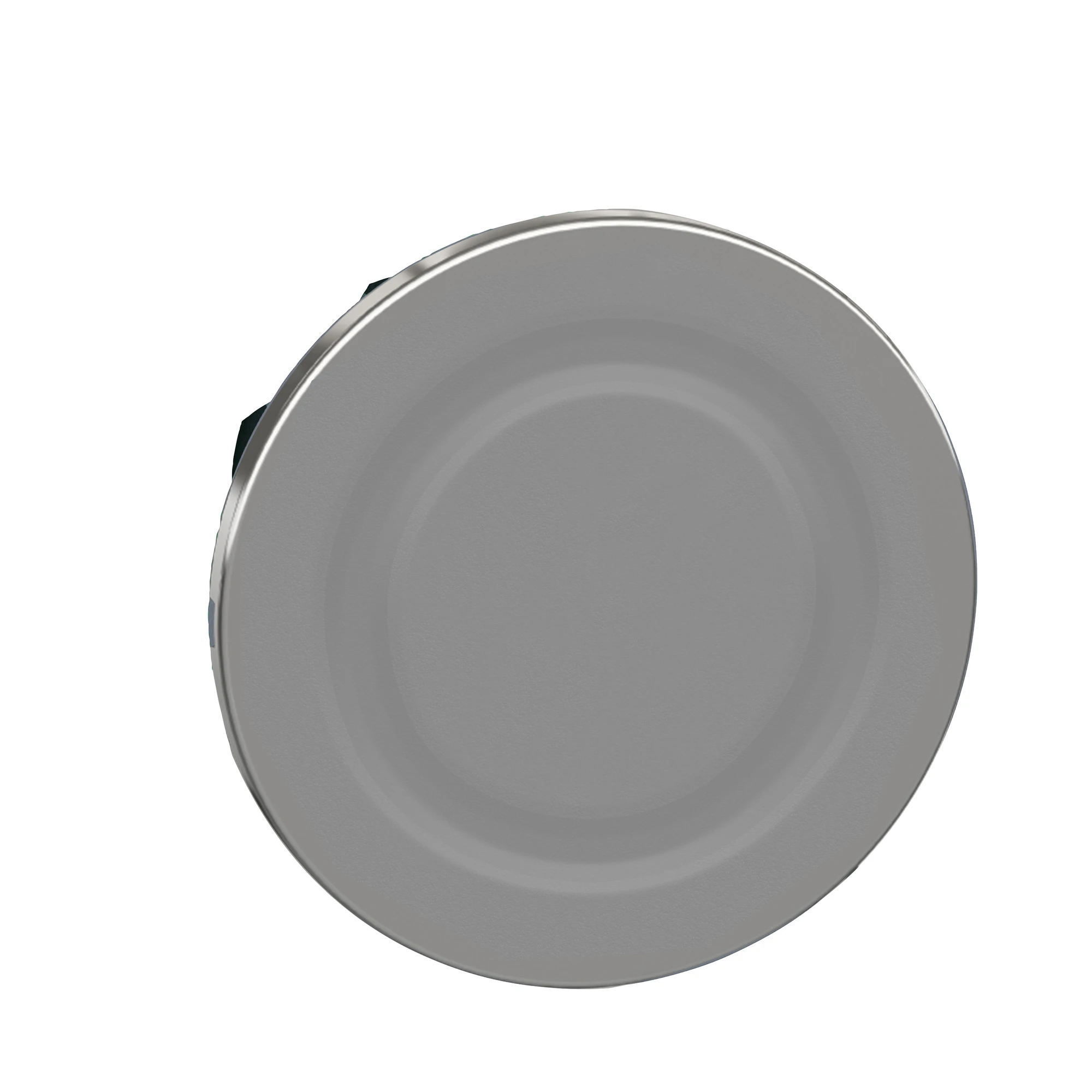 Schneider Electric ZB4FSZ3 Blanking plug, front element, Harmony XB4F, metal, 30mm, chrome-plated (img_001)
