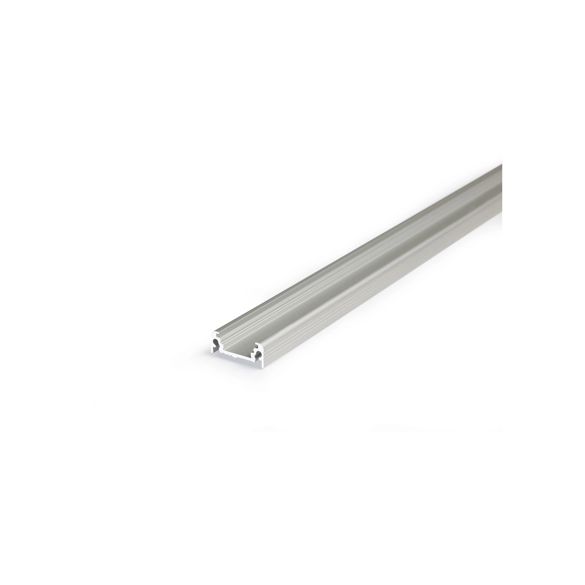 WSU Lights Profil Surface 10mm 2m