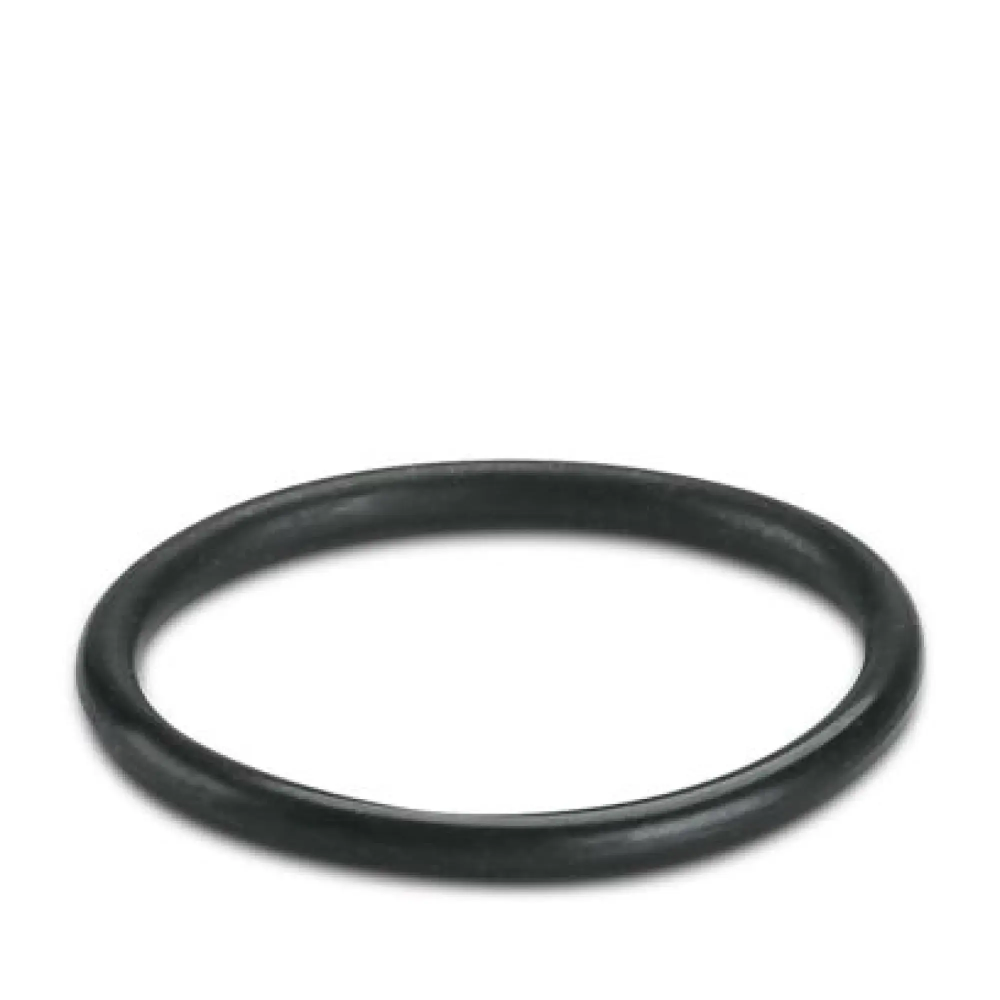 Phoenix Contact 3241191 Sealing ring WP-OR M25 (img_001)