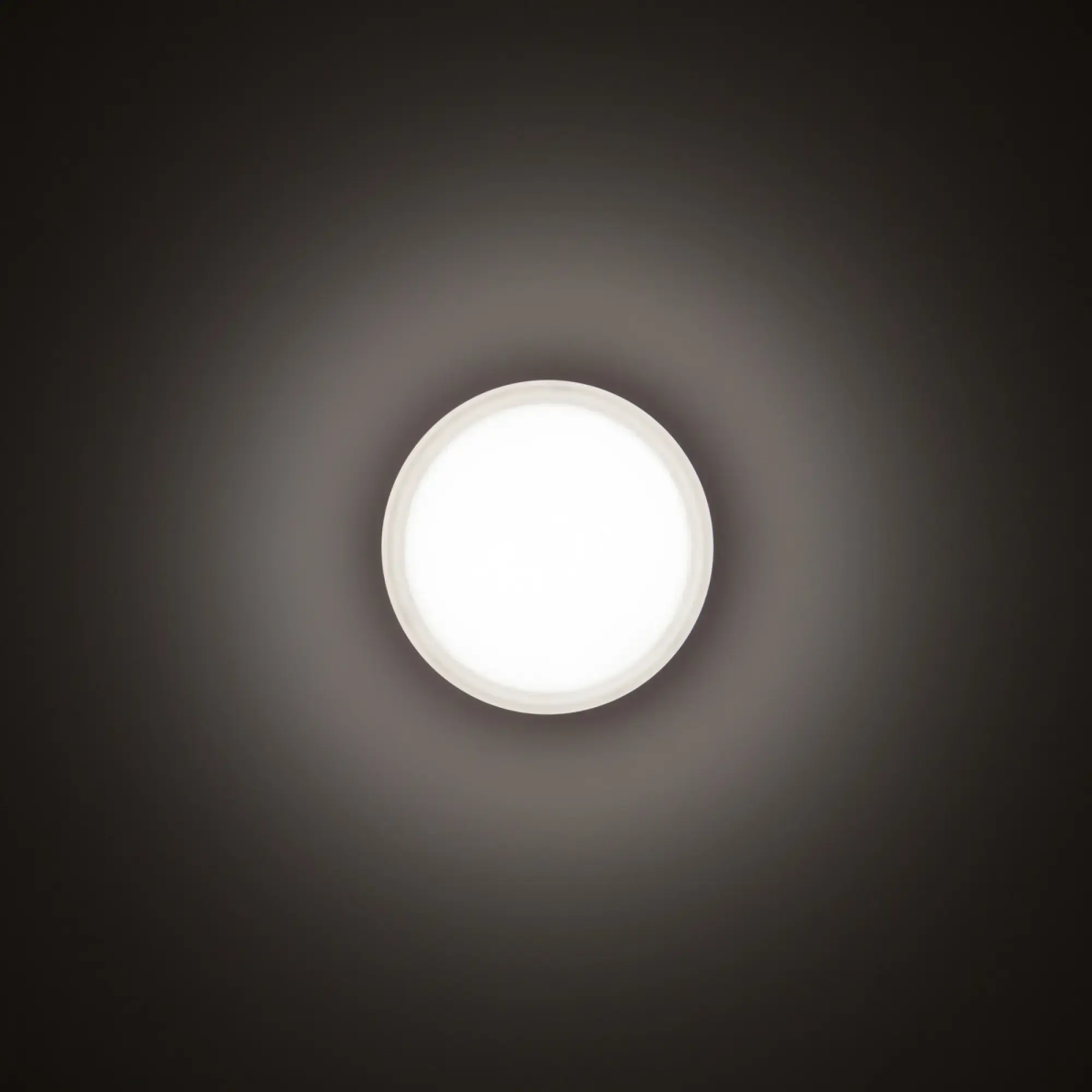Performance iN Lighting 3109455 LED-Wand- und Deckenleuchte 4000K 11W statisch sym. extrabreite Streuoptik 3109455 (img_001)