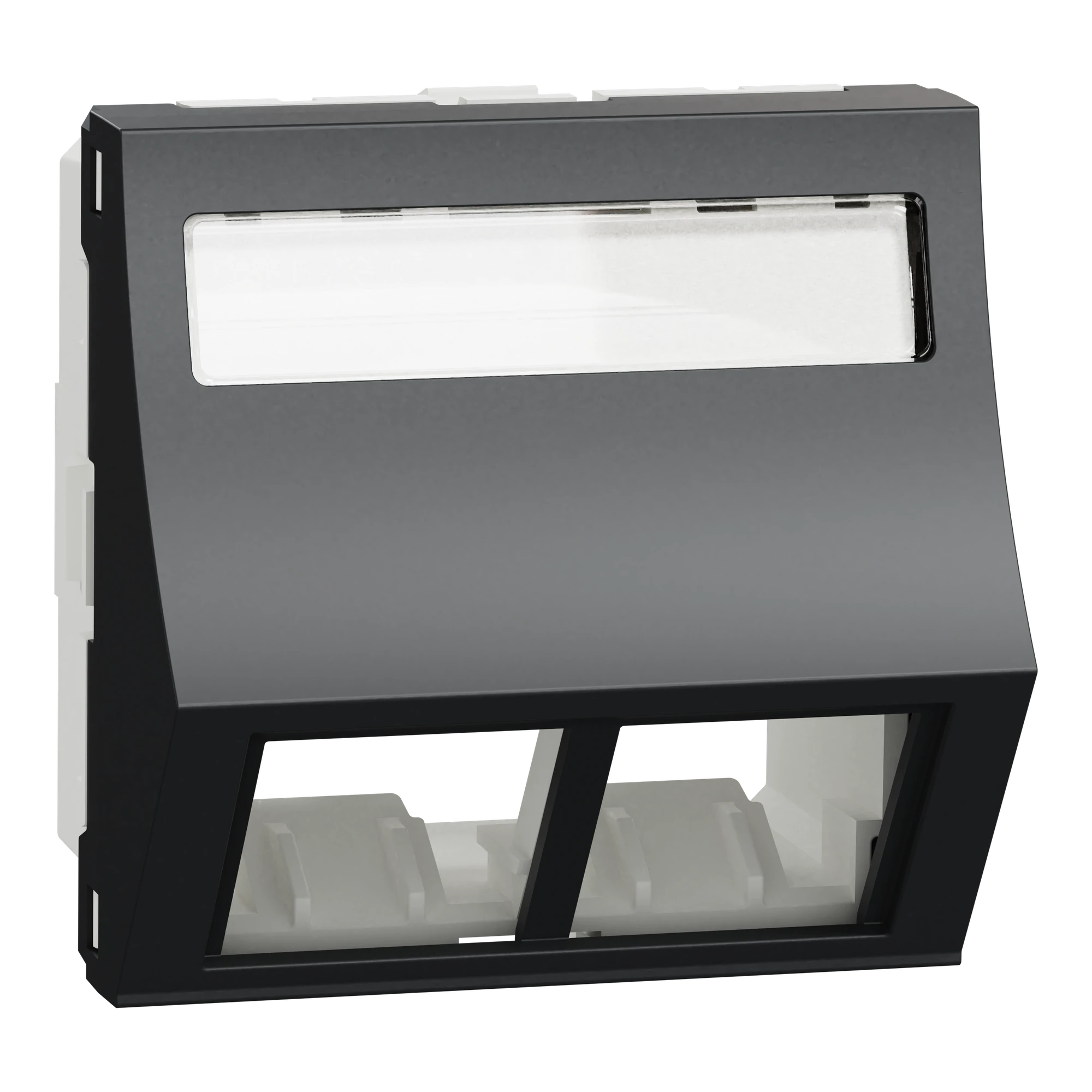 Schneider Electric NU942454 Optiline 45/Unica Central Plate Data Socket 2xRJ45 angled labeling field anthracite (img_001) Schneider Electric NU942454 Optiline 45/Unica Central Plate Data Socket 2xRJ45 angled labeling field anthracite (img_001)