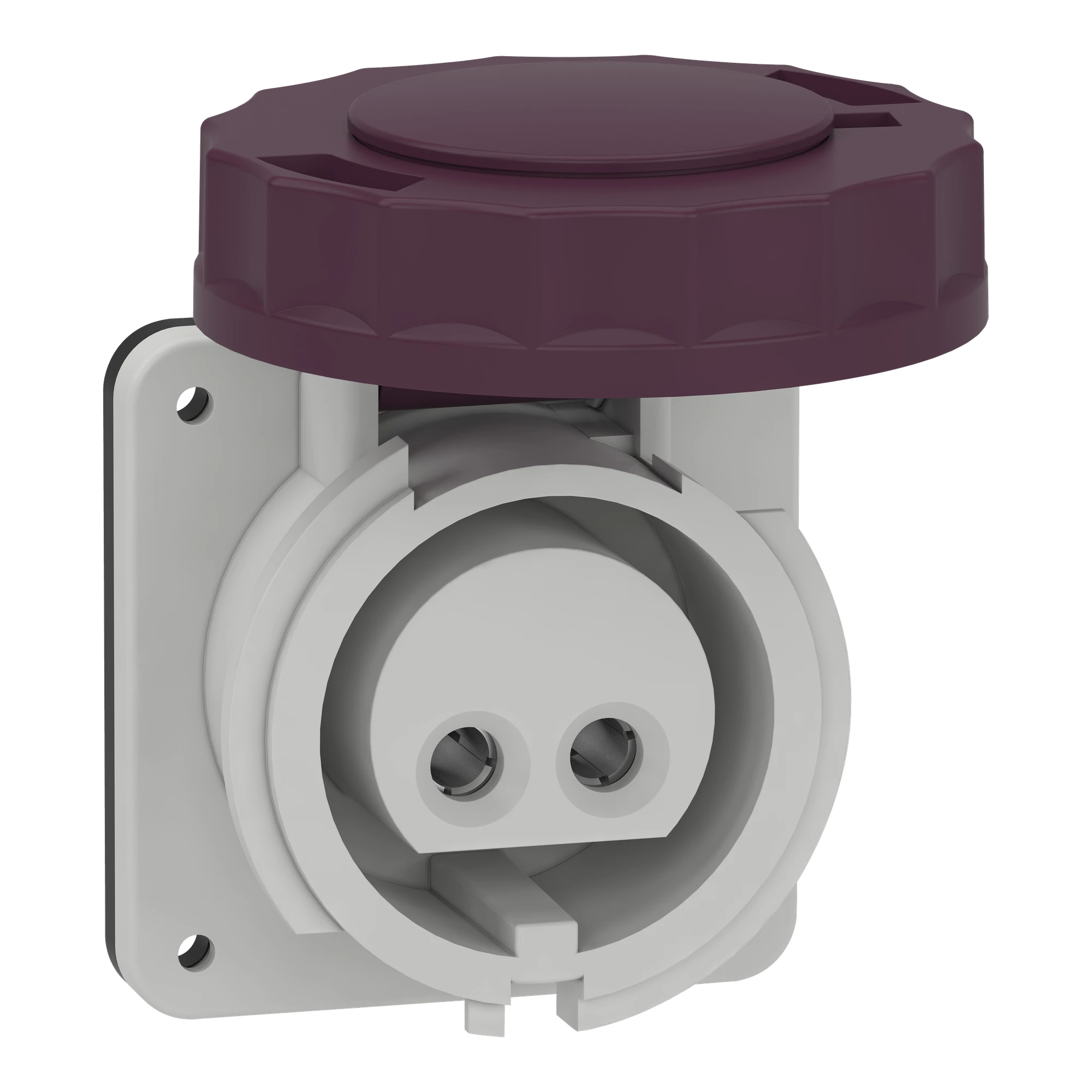Schneider Electric 82951 Surface-mounted socket, 16A, 2p, 20-25 V AC, IP67 (img_001) Schneider Electric 82951 Surface-mounted socket, 16A, 2p, 20-25 V AC, IP67 (img_001)